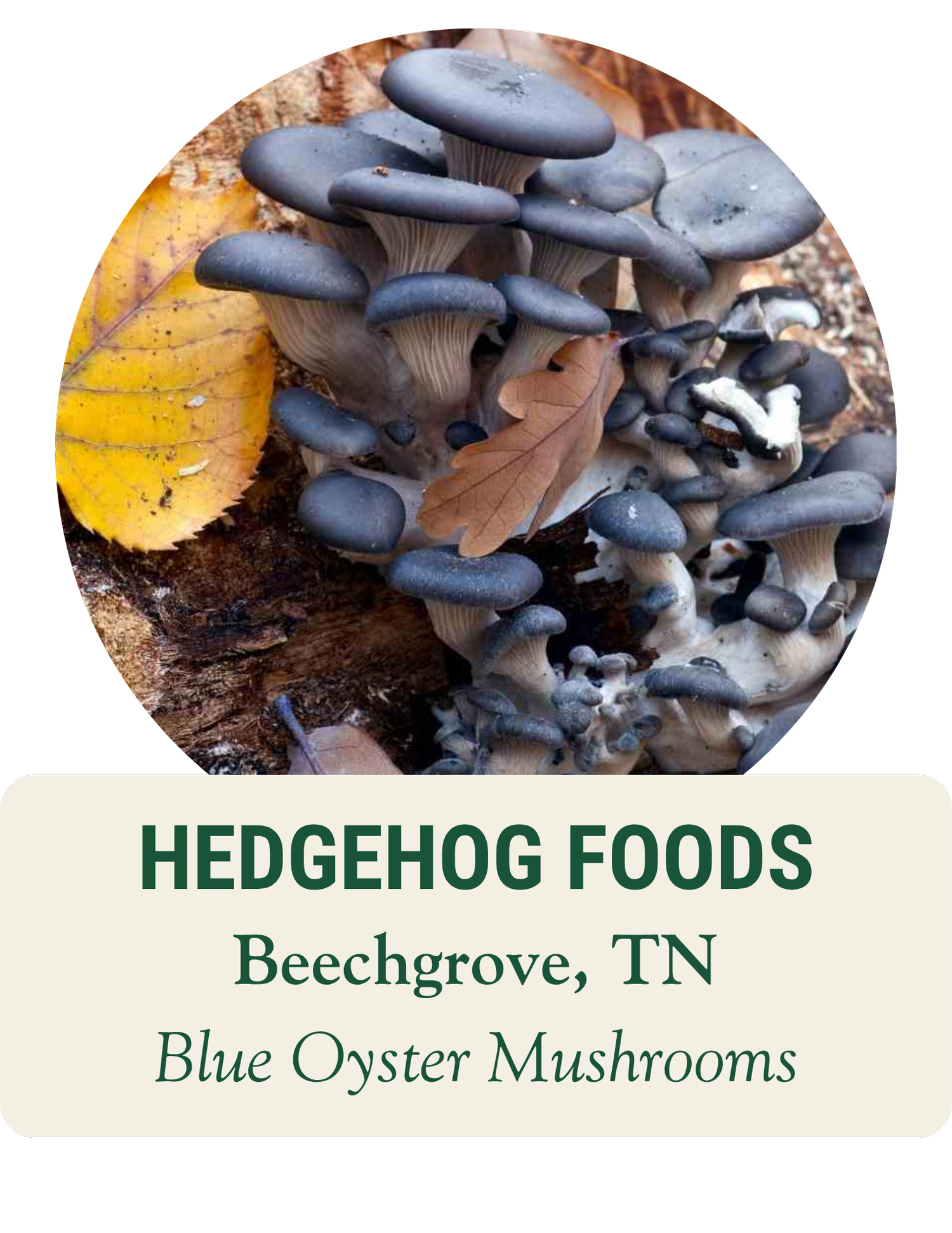 naked-farmer-locally-sourced-food-farm-to-table