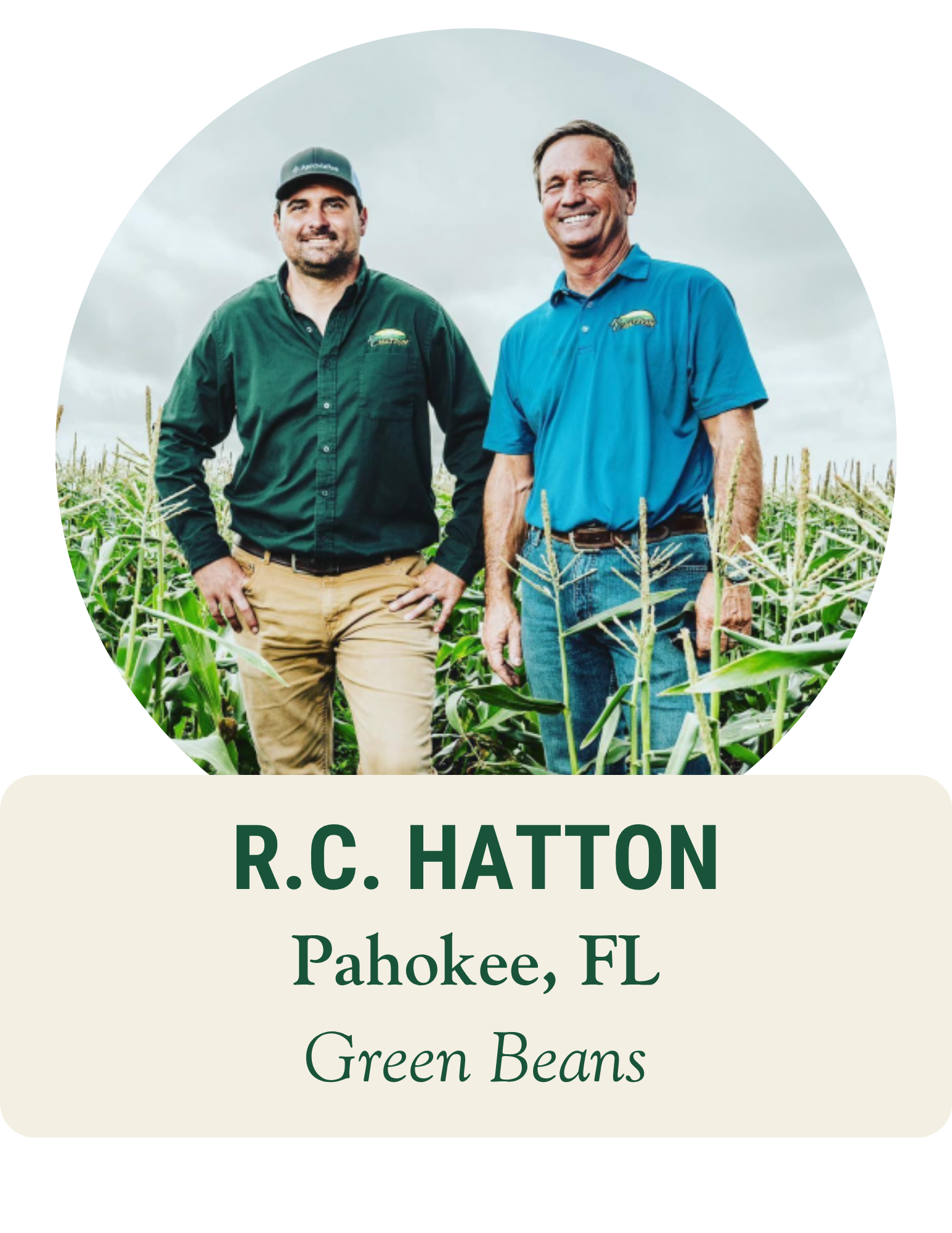 Two farmers standing in a tall cornfield. R.C. Hatton, Pahokee, FL: green beans.