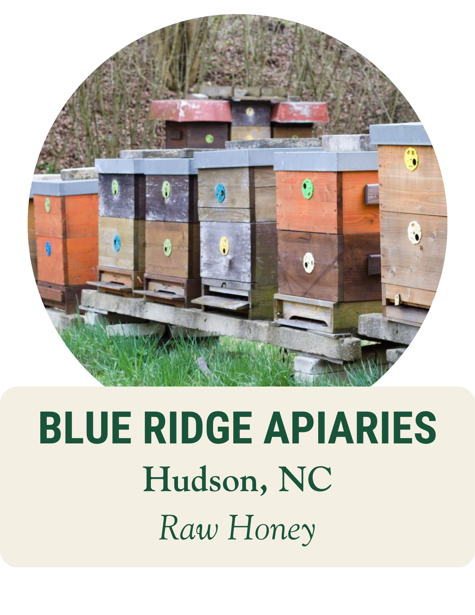 Row of colorful wooden beehives on a grassy stand. Blue Ridge Apiaries, Hudson, NC: raw honey.