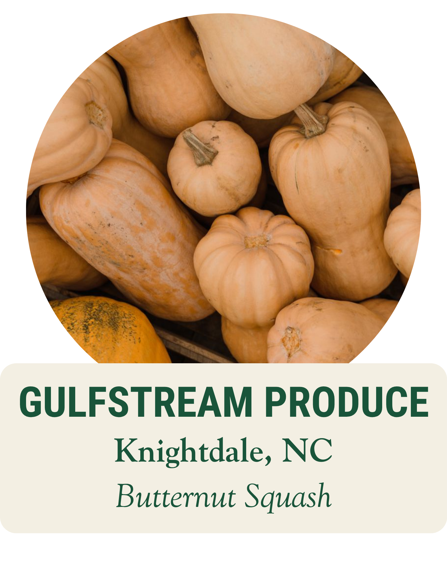 Pile of butternut squash. Gulfstream Produce, Knightdale, NC: butternut squash.