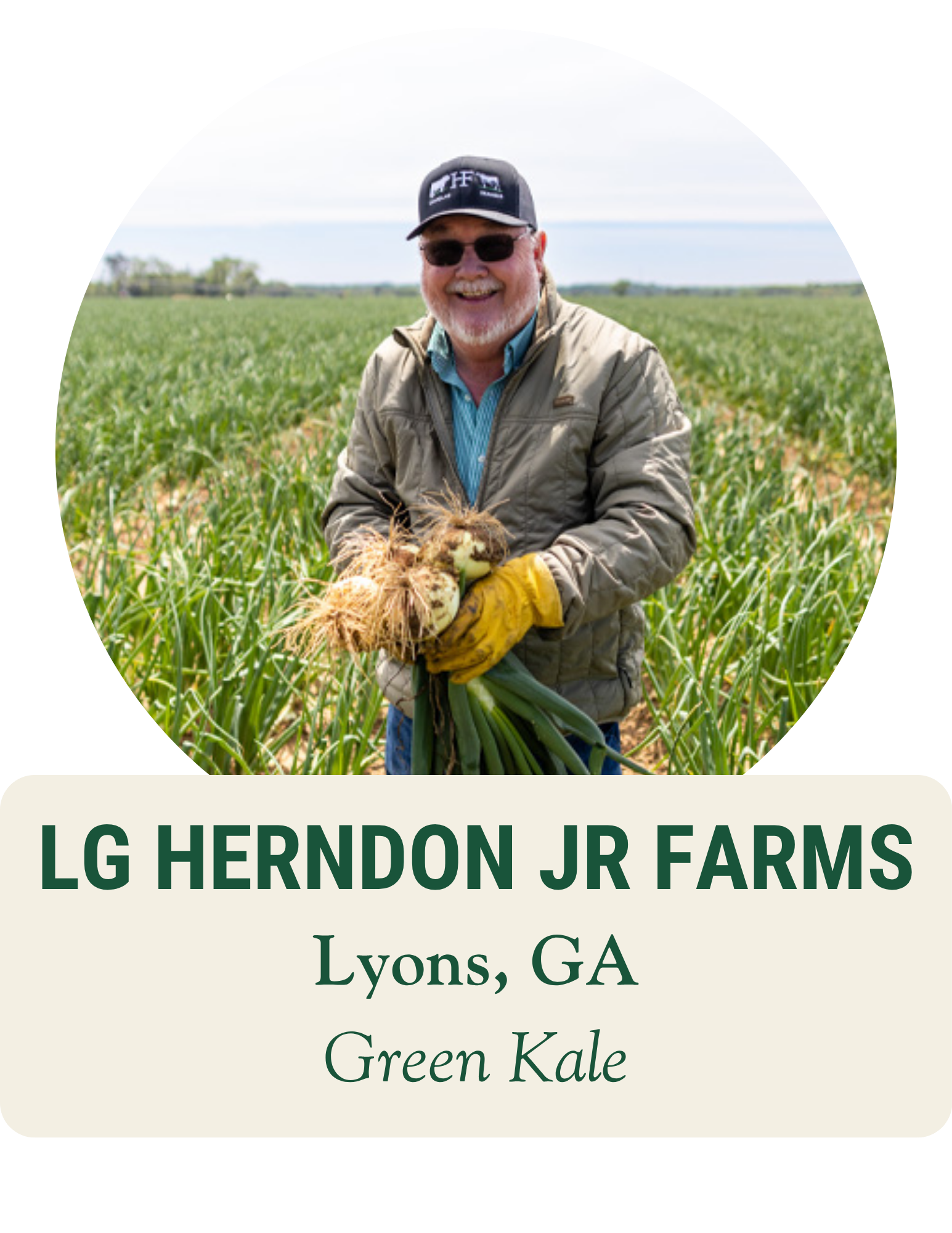 Smiling farmer in a cap and sunglasses holding a freshly pulled harvest in a field. LG Herndon Jr Farms, Lyons, GA: green kale.