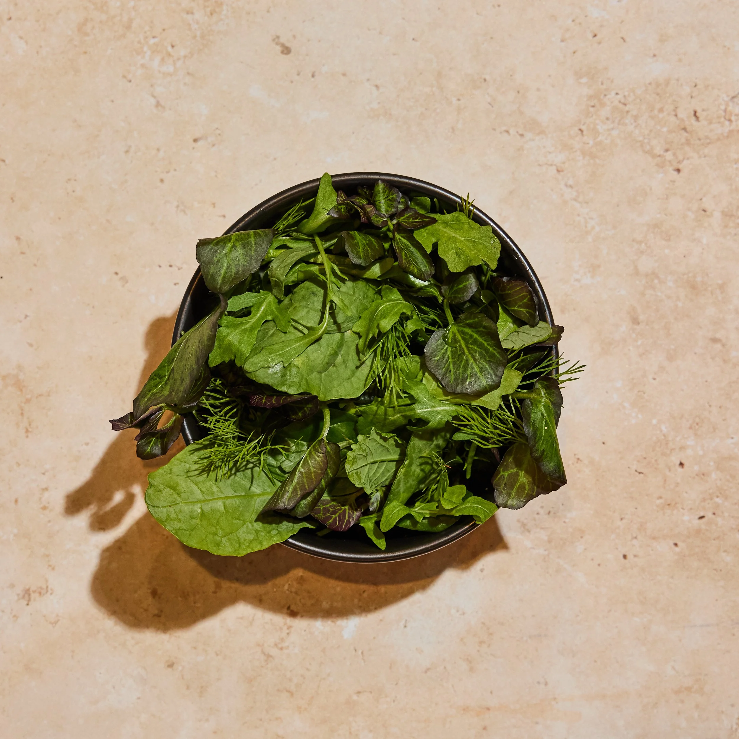 A Plate of Farm Greens with Mint. Contains Dill