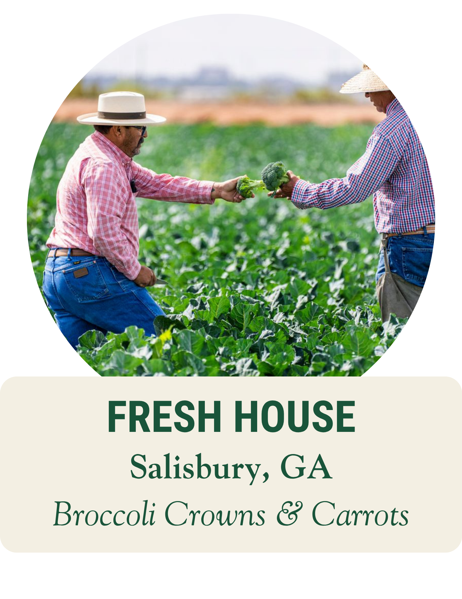 Two farmers in hats passing a head of broccoli across a field. Fresh House, Salisbury, GA: broccoli crowns and carrots.