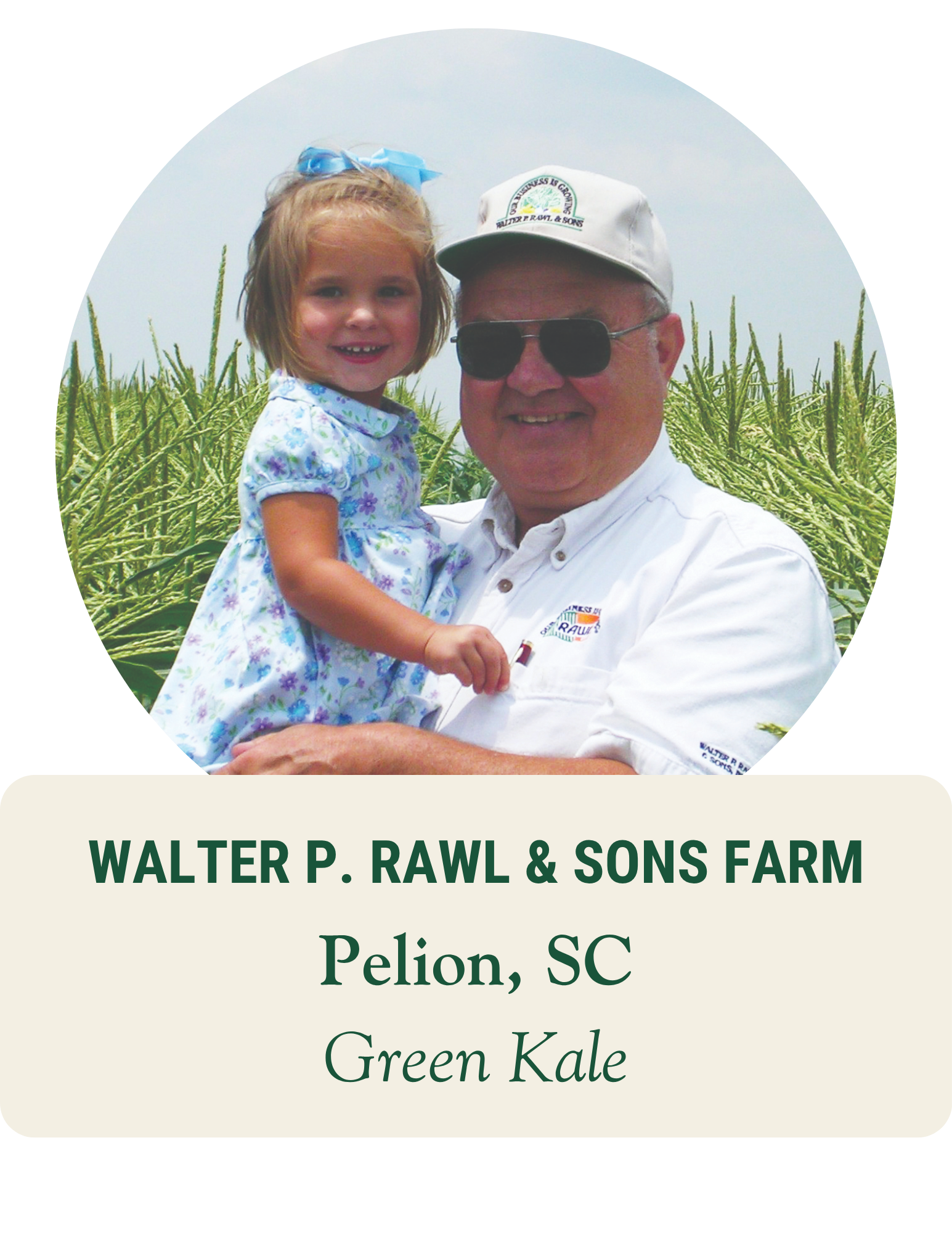 Farmer in a cap and sunglasses holding a young girl in front of tall crops. Walter P. Rawl & Sons Farm, Pelion, SC: green kale.