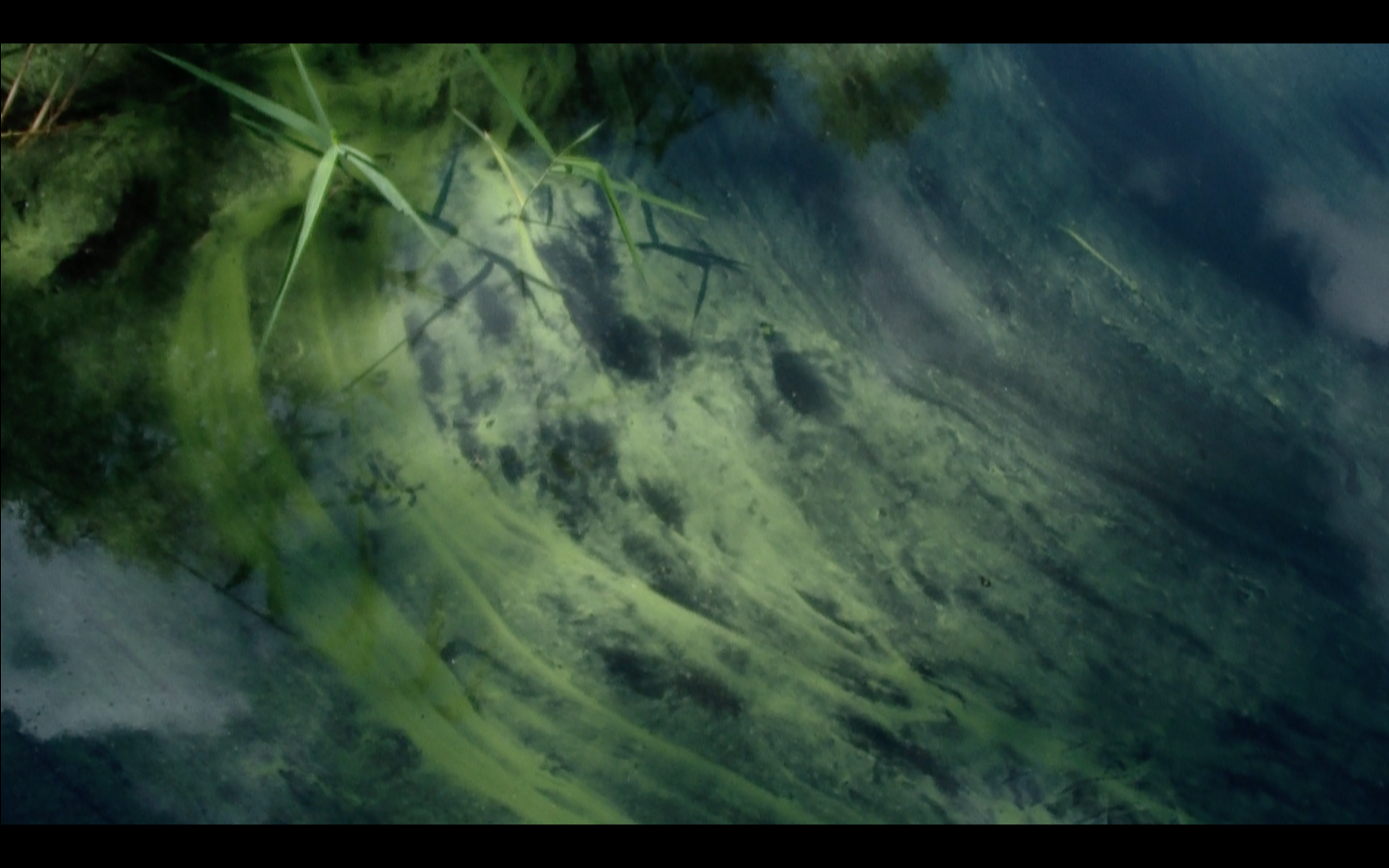 Screenshot 2025-12-01 at 16.10.32.png