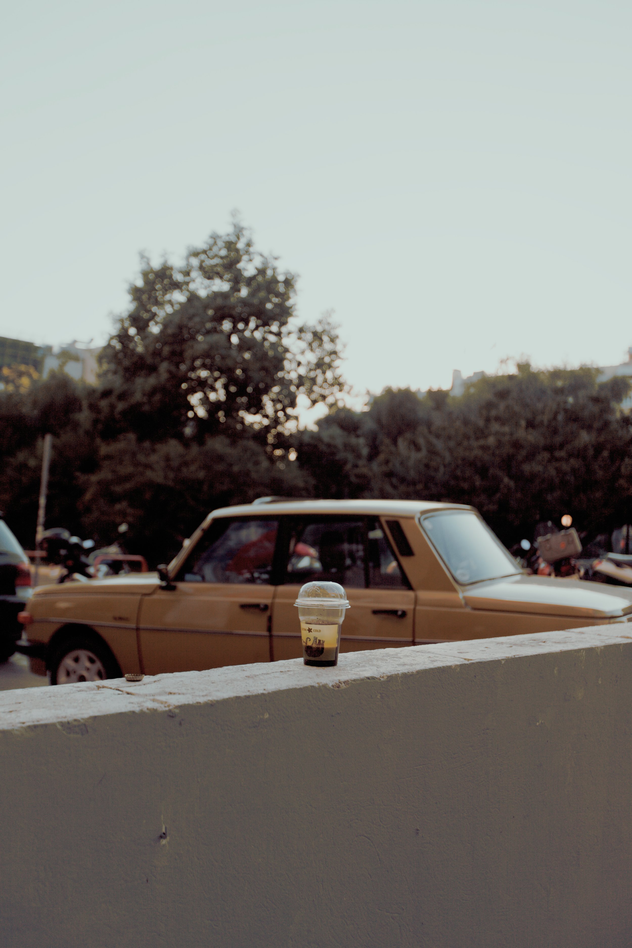 _MG_9466.jpg