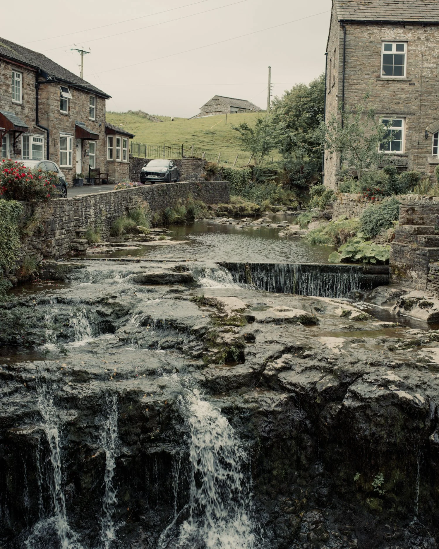 IMGP0054.JPG