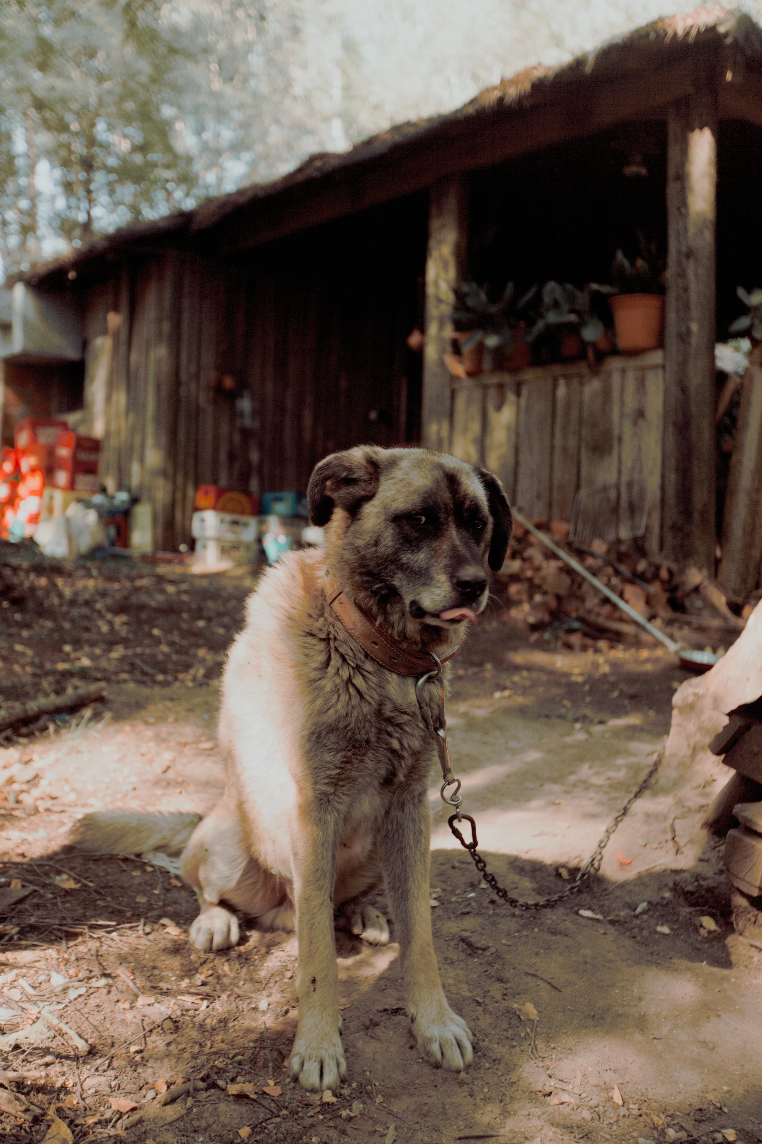 _MG_0150.jpg