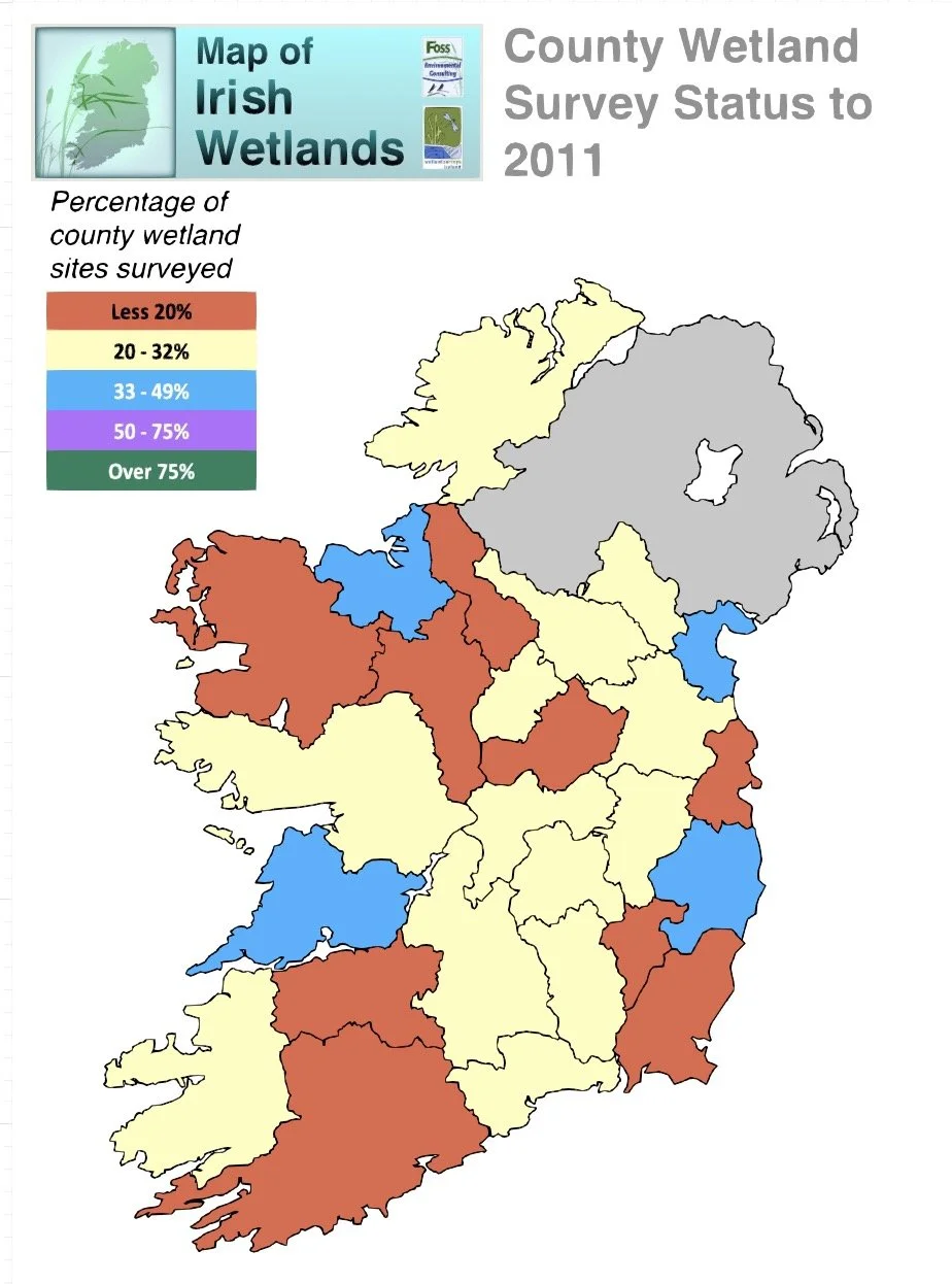 2011.jpg