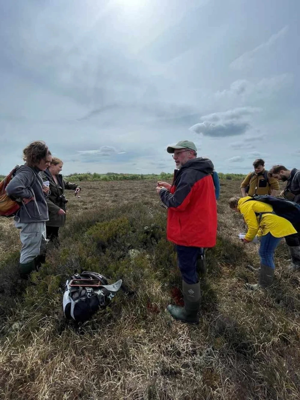 bryophyte-training-day-7-website.jpg