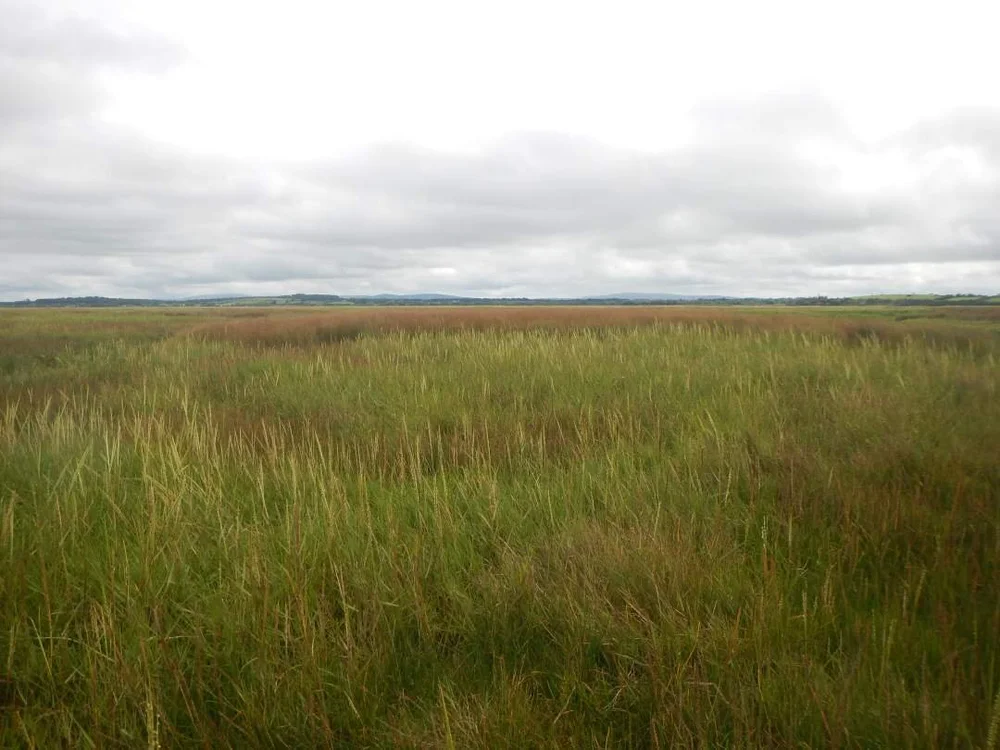 DSCN4257sm.JPG