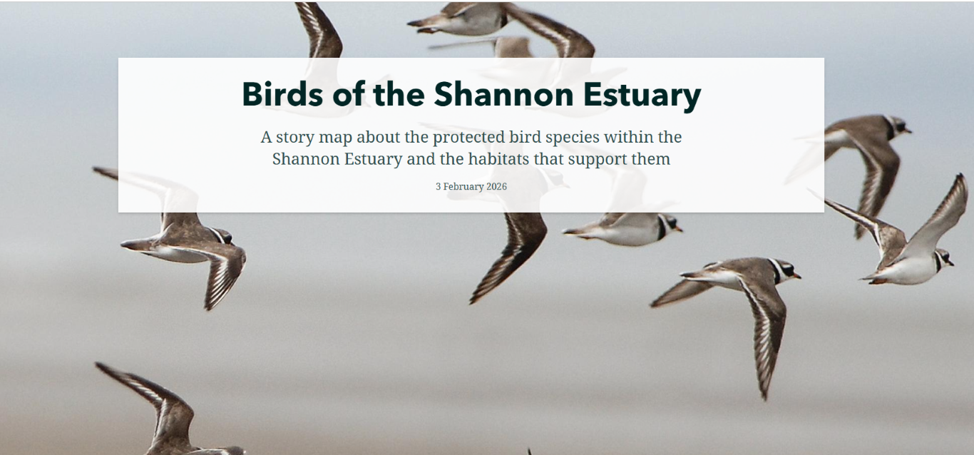 Birds of the Shannon Estuary StoryMap