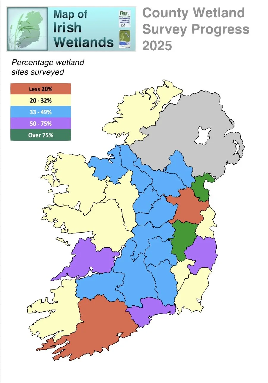 Map of Ireland showing county wetland survey progress in 2025. Different counties are colored to indicate percentage of wetland sites surveyed: less than 20% (orange), 20-32% (yellow), 33-49% (blue), 50-75% (purple), over 75% (green).