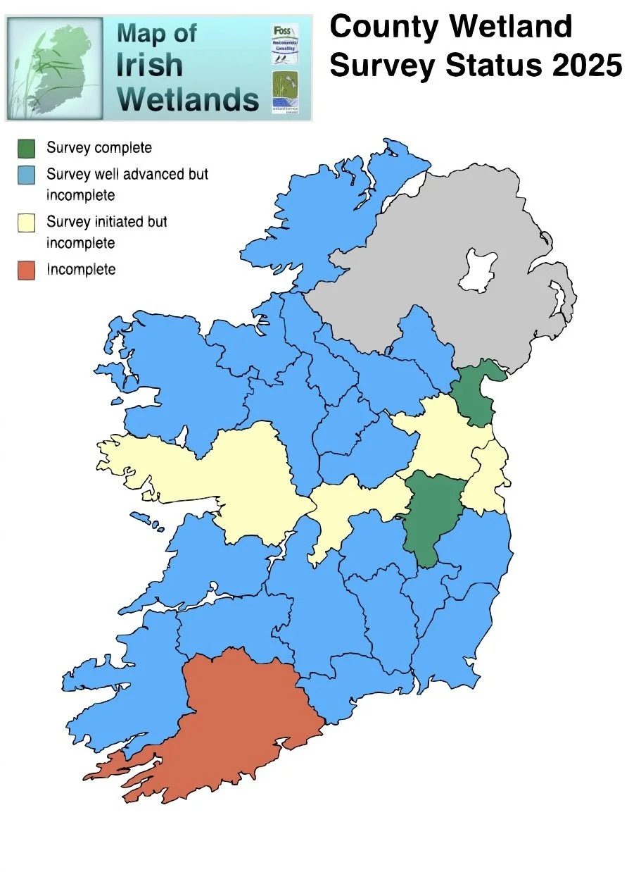 Map of Ireland showing county wetland survey status in 2025, with color codes for survey completion levels across different counties.
