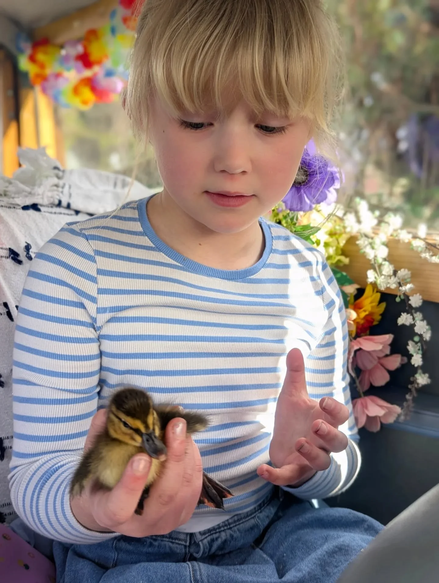 An afternoon of fishing and duckling rescue! ❤️😂