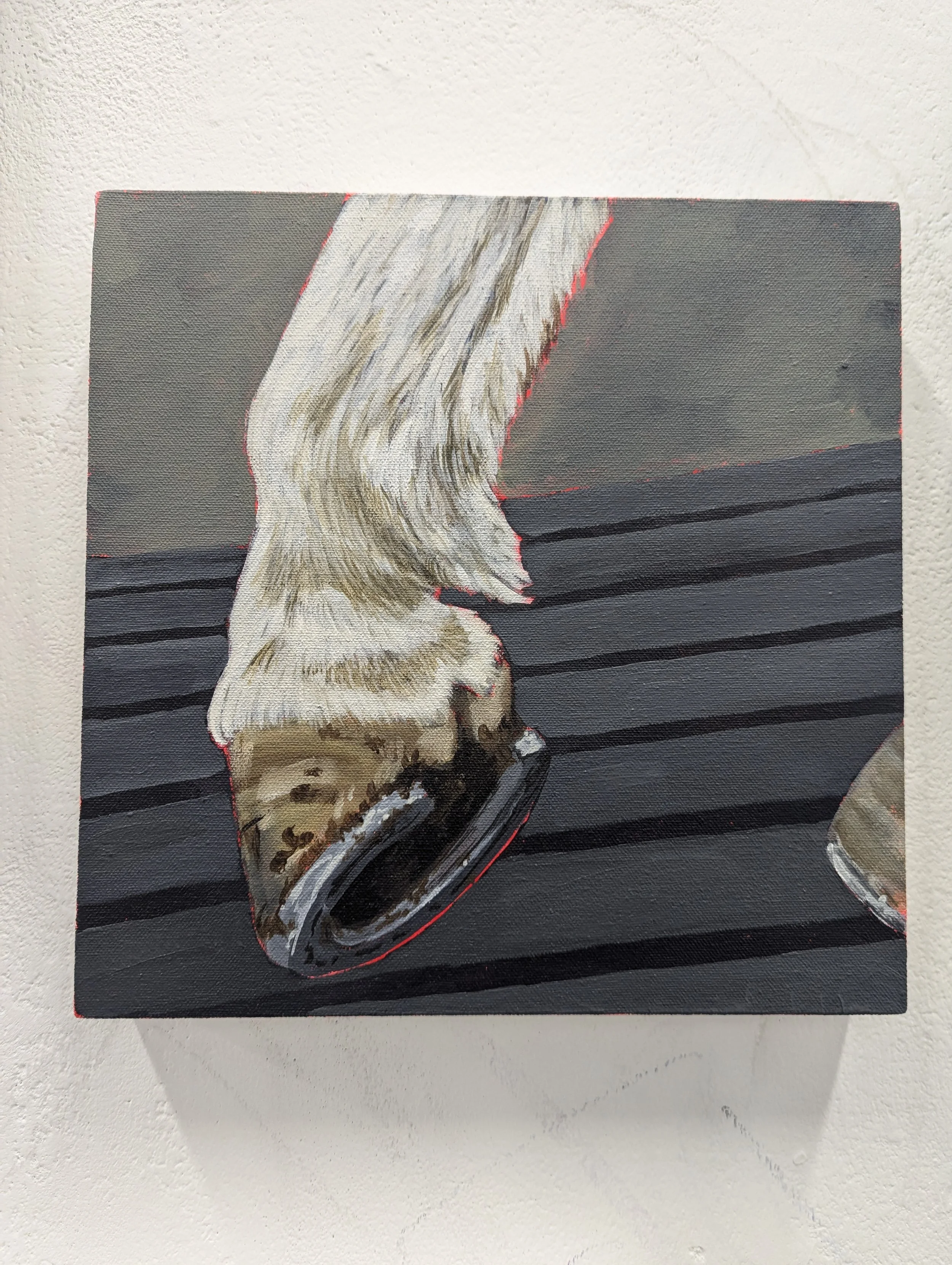 Equine Traces (2024)