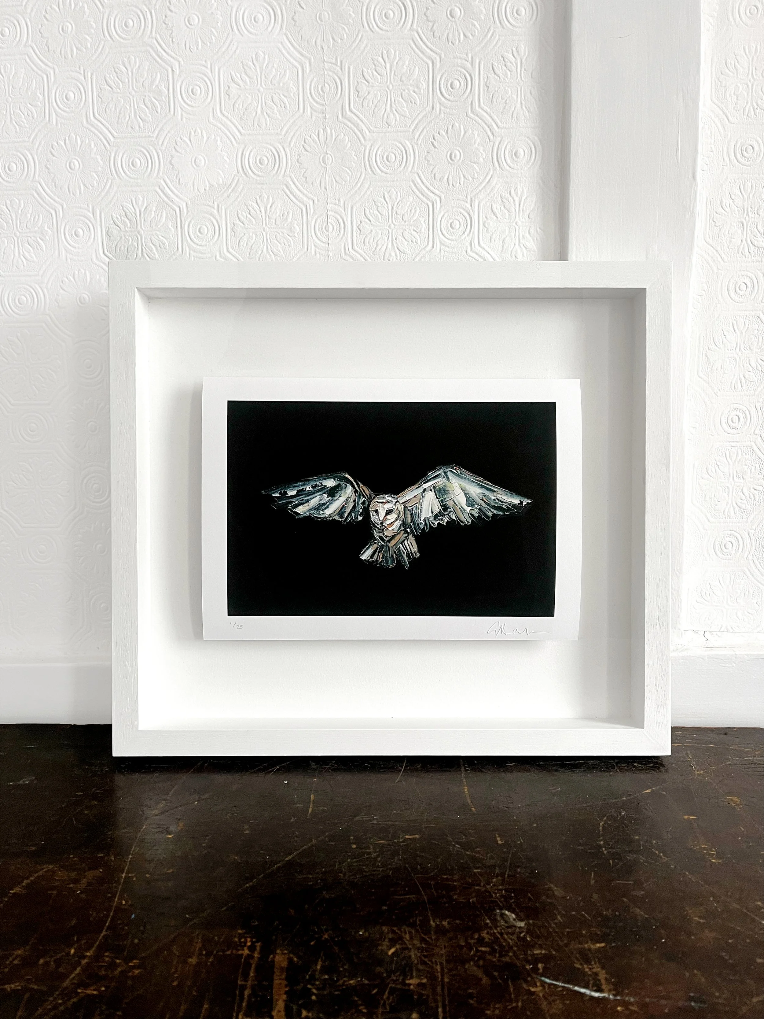 Barn Owl Limited Edition Print | 21 x 29.7cm | A4