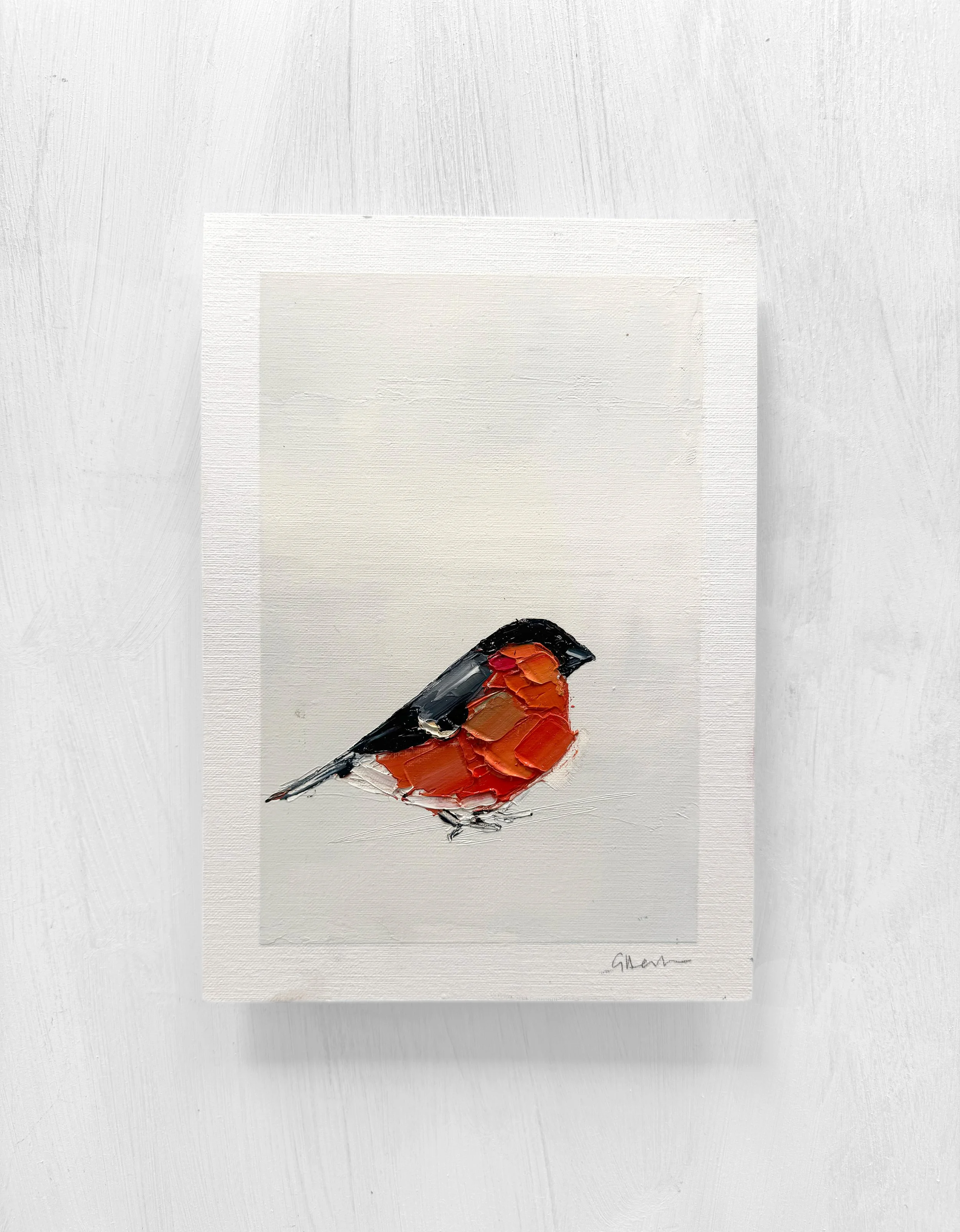 bullfinch 1.jpg