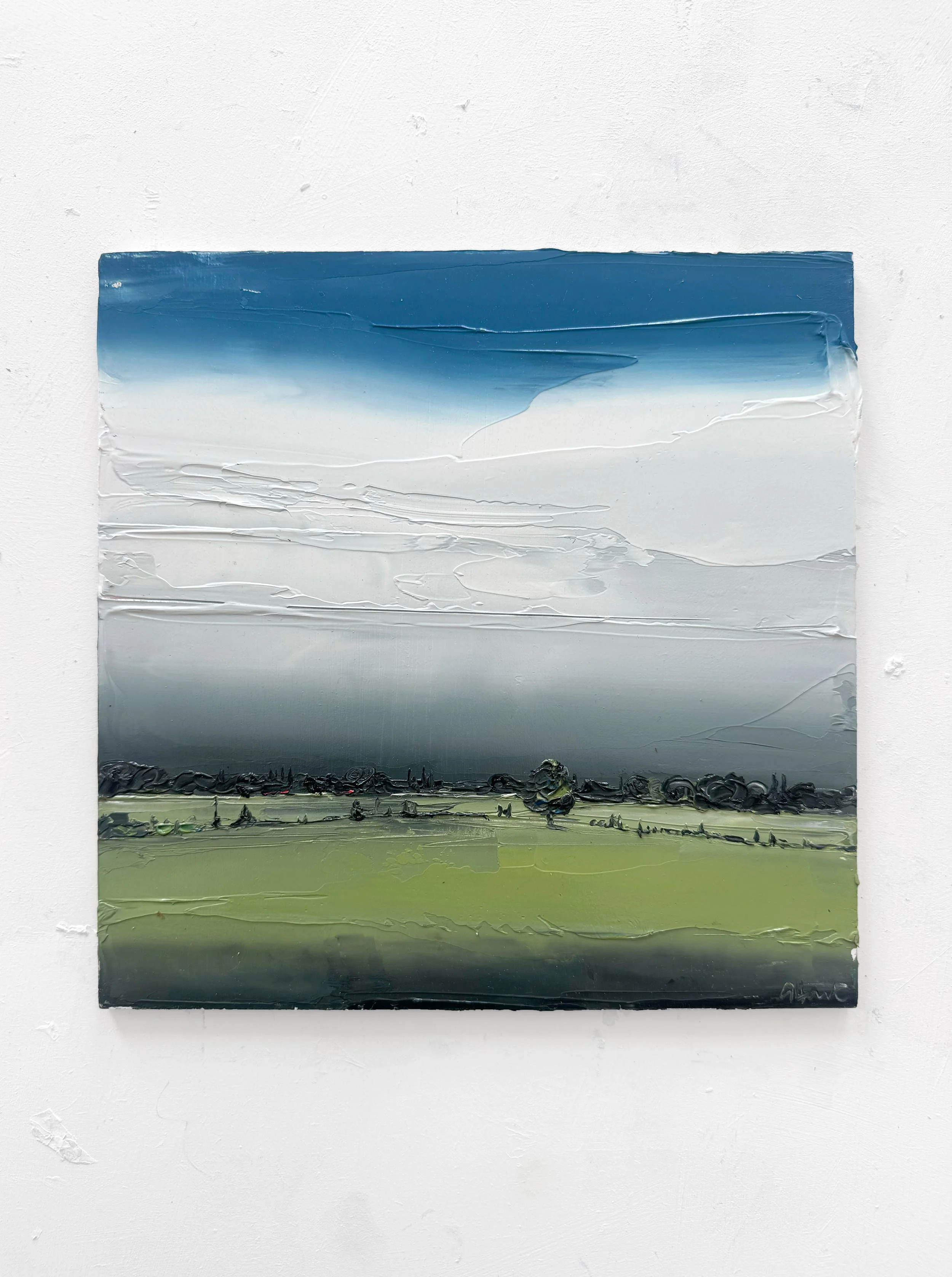 Sweet green fields 1.jpg