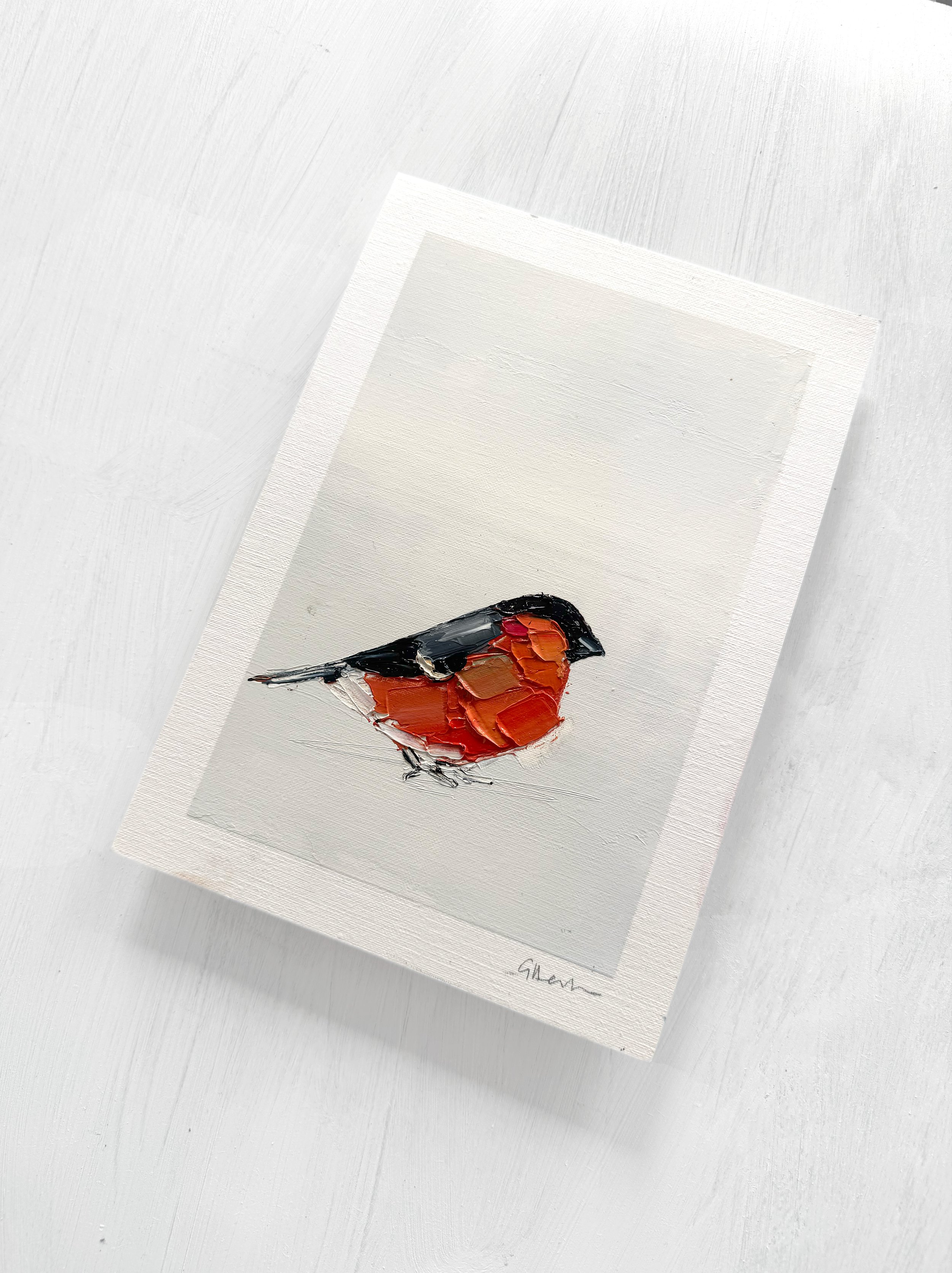bullfinch 2.jpg