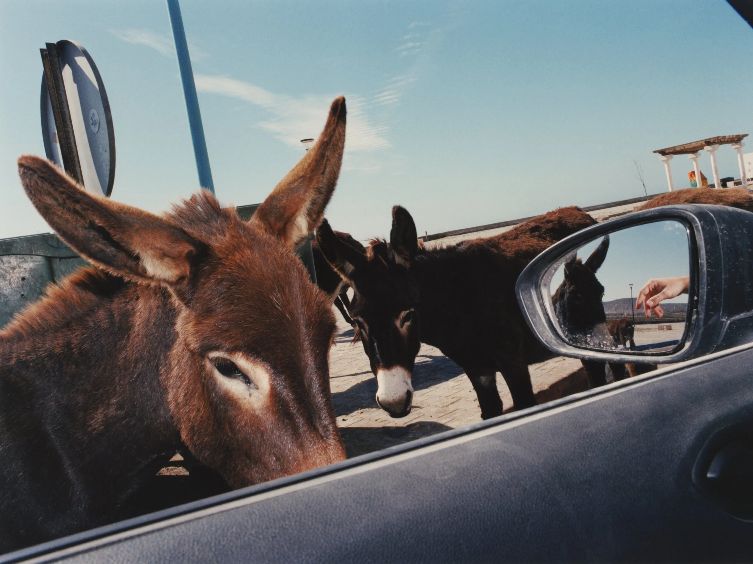 TANGUY SERGHERAERT-MOROCCO 2024-QUADRIGA- 11.jpg