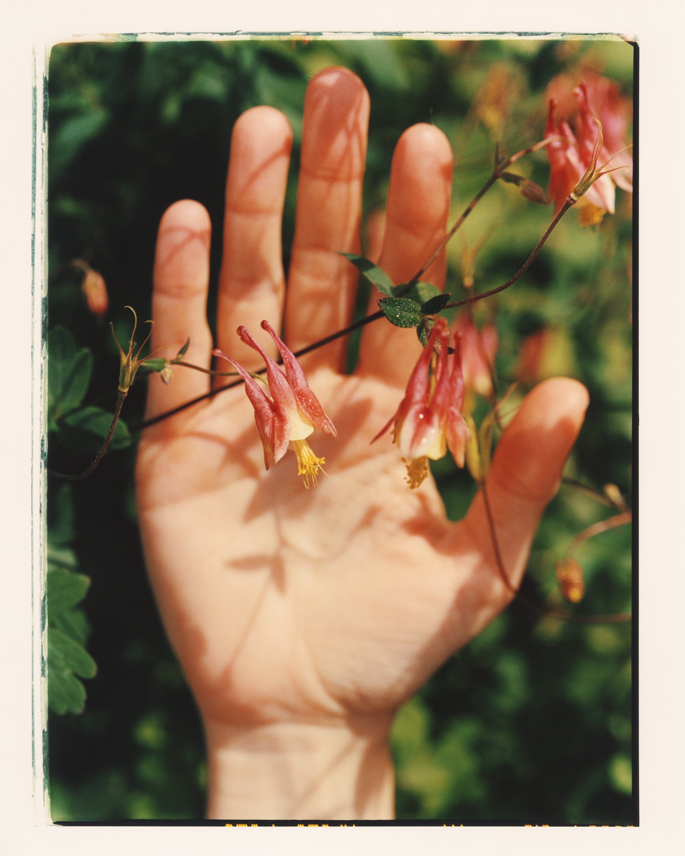Hands / Editorial