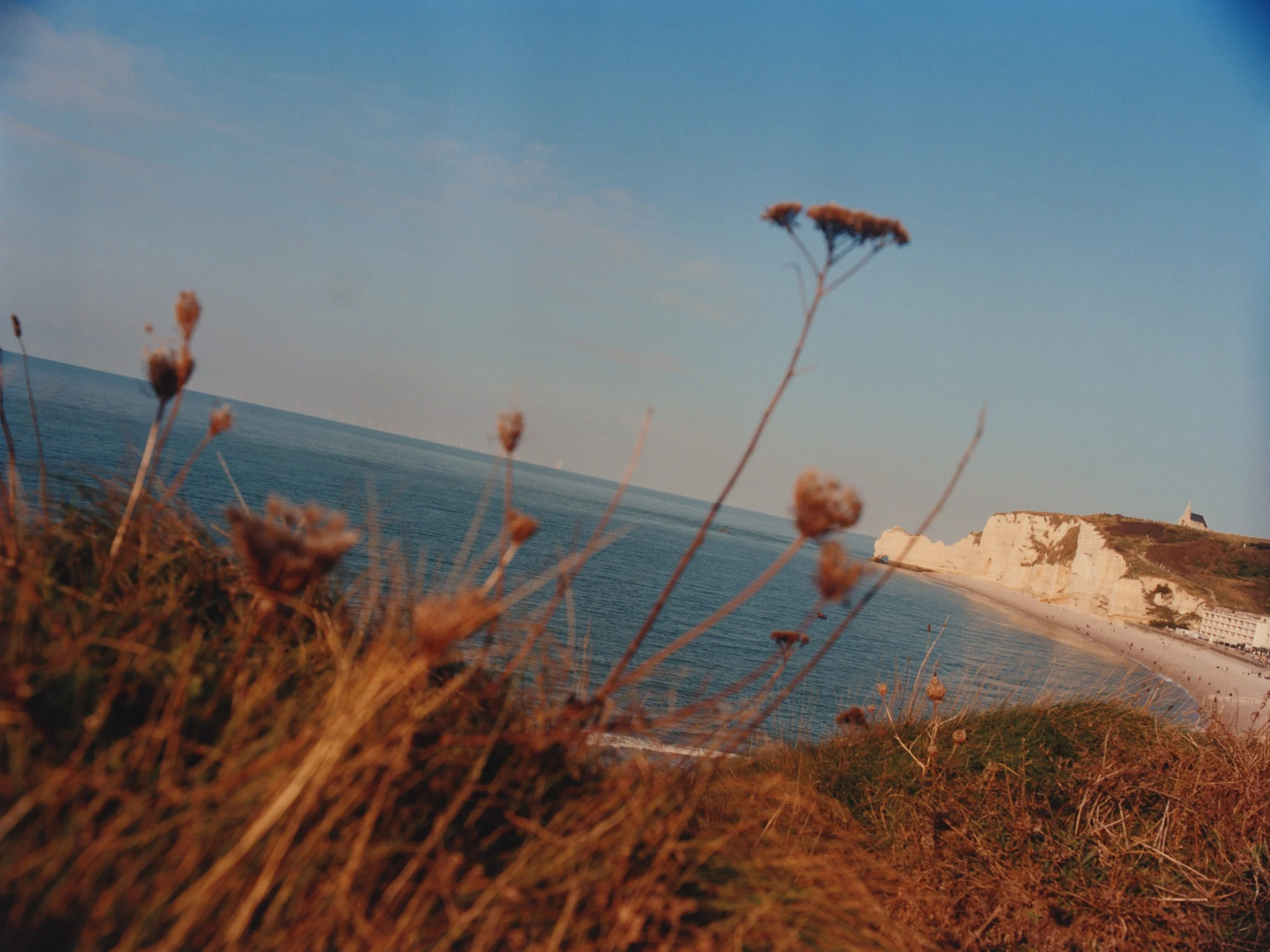 TANGUY-SERGHERAERT-2025-MLM-COVER FOOD-13.jpg