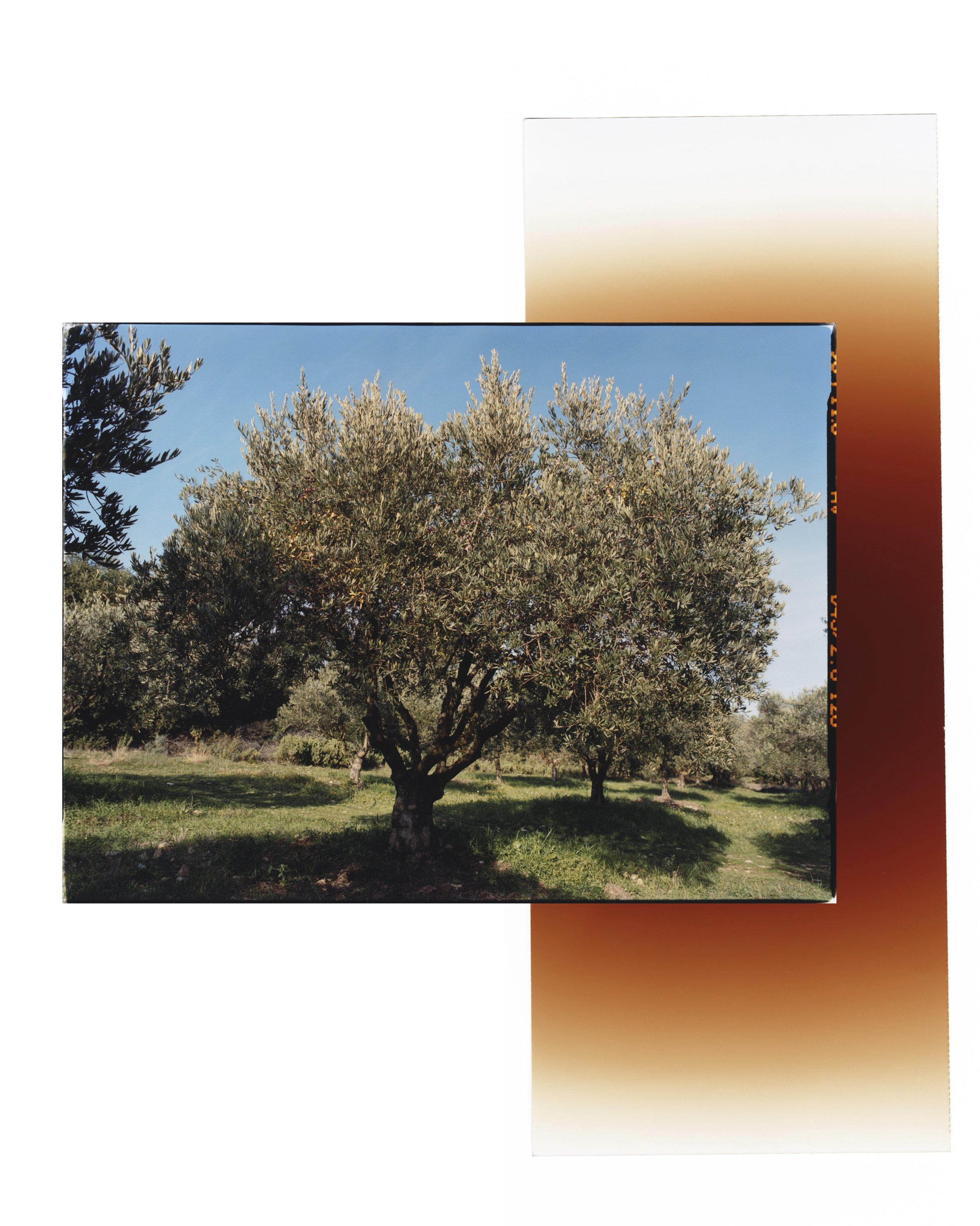 M le MONDE FOOD20.jpg