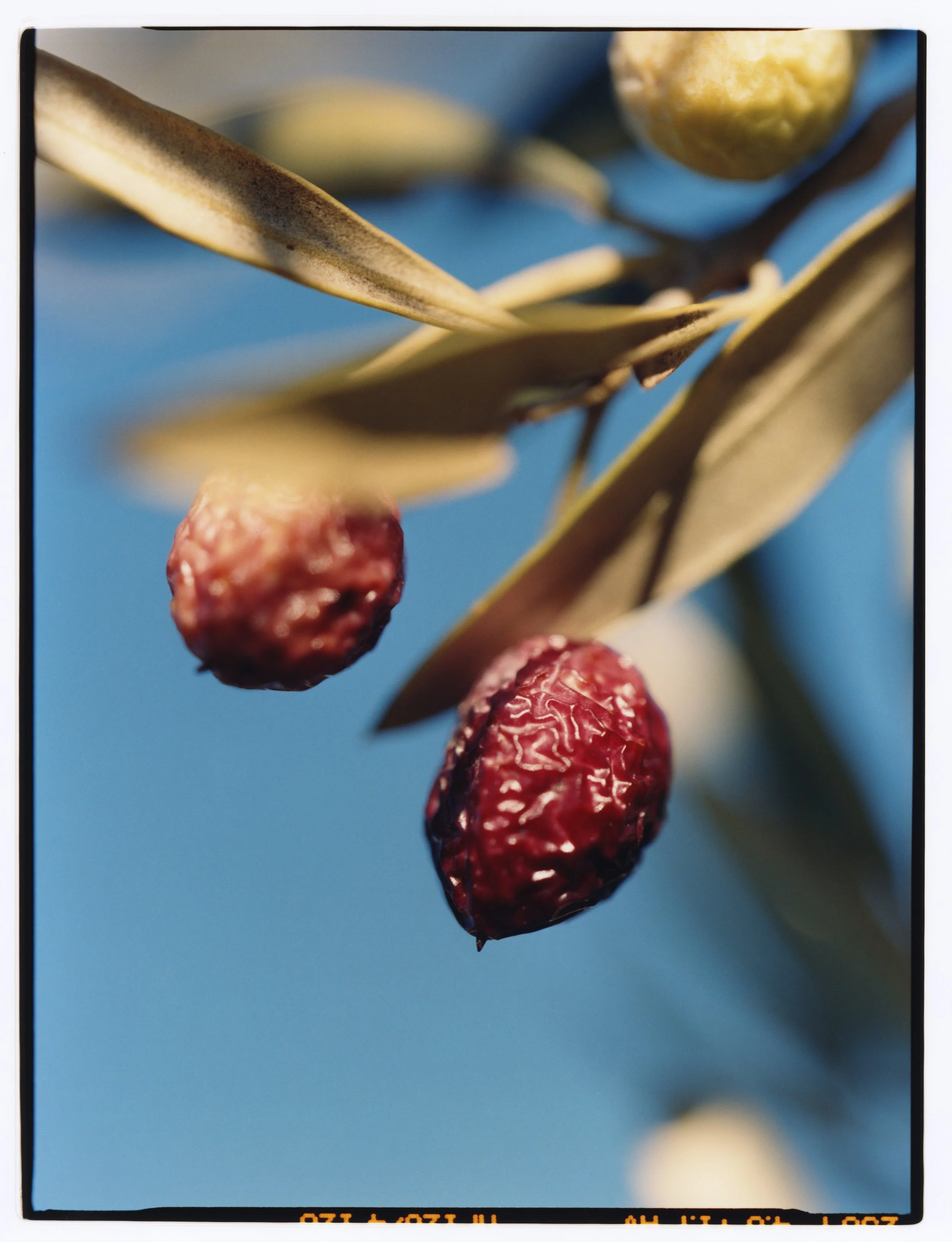 TANGUY-SERGHERAERT-2025-REGAIN MAGAZINE-02.jpg