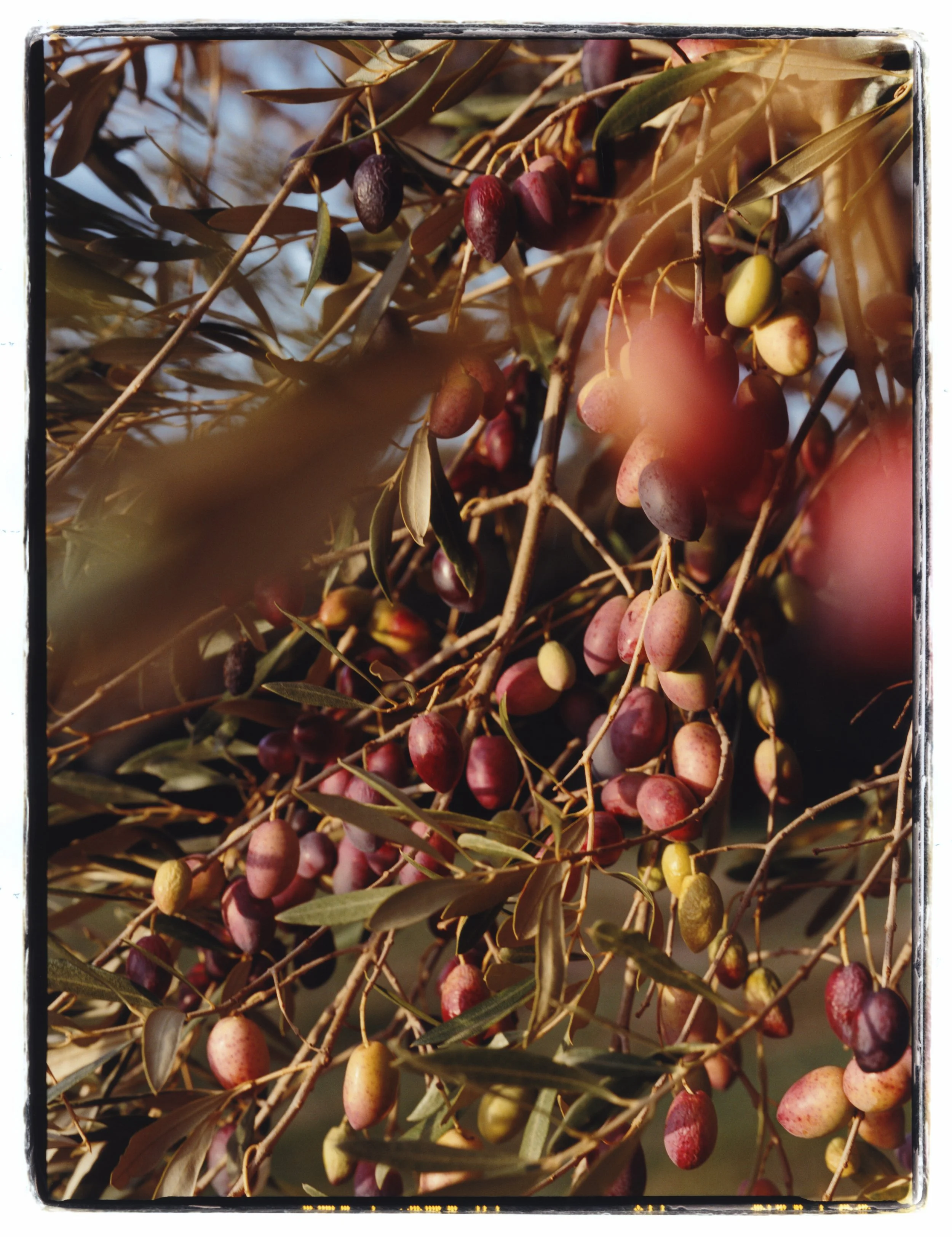 TANGUY-SERGHERAERT-2025-REGAIN MAGAZINE-21.jpg