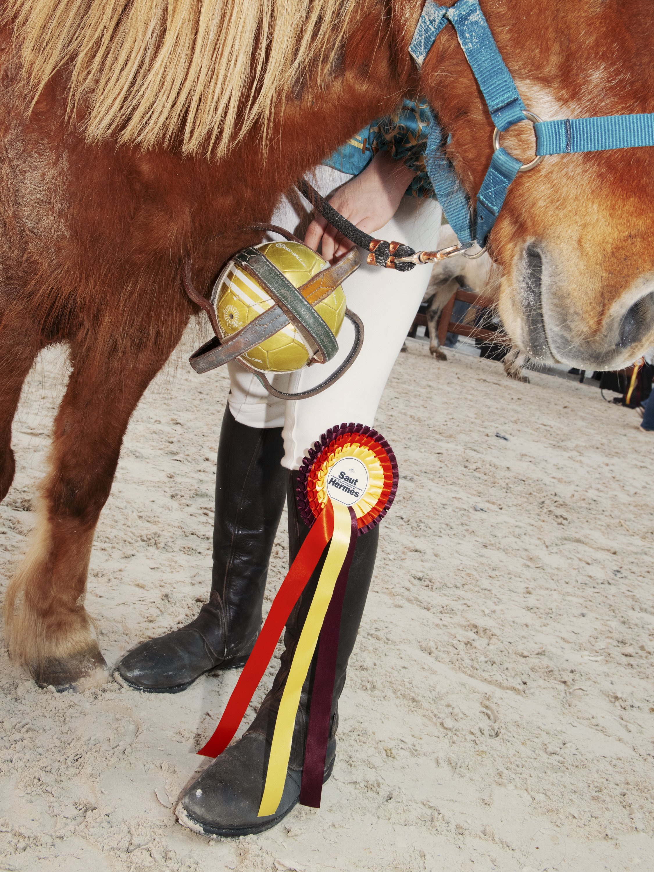 TANGUY SERGHERAERT-LE SAUT HERMÈS-QUADRIGA- 01-4.jpg