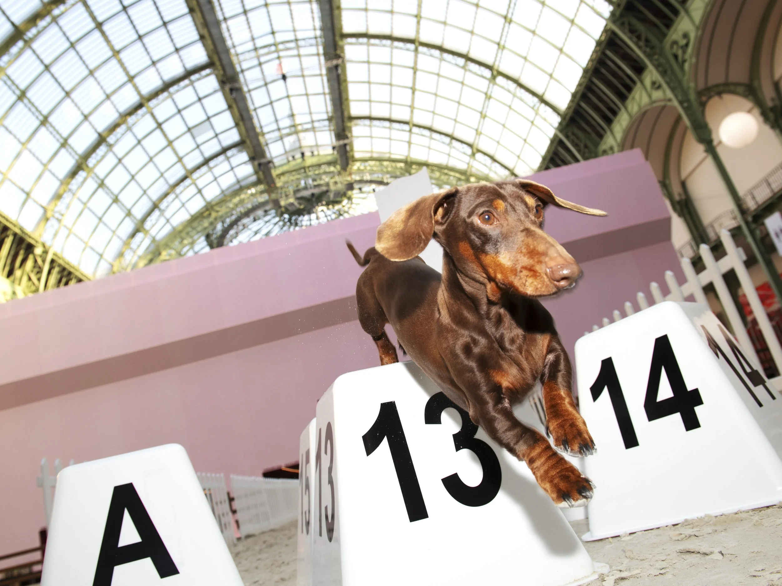 TANGUY SERGHERAERT-LE SAUT HERMÈS-QUADRIGA- 03.jpg