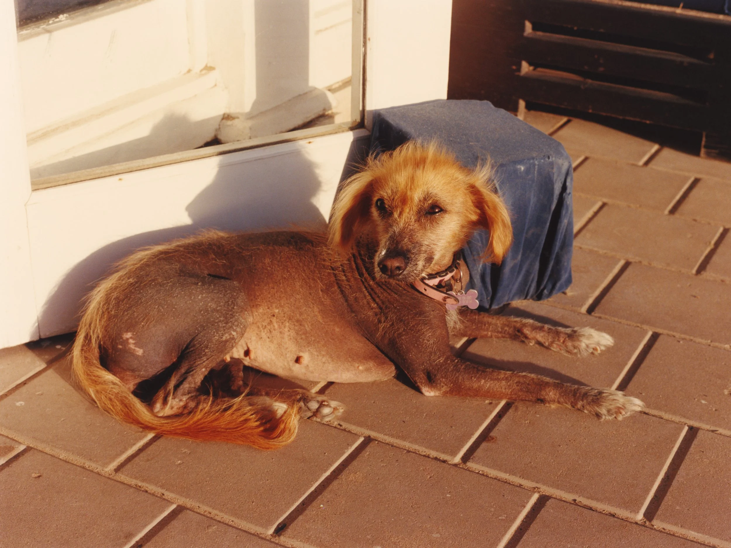 TANGUY SERGHERAERT-MOROCCO 2024-QUADRIGA- 06.jpg