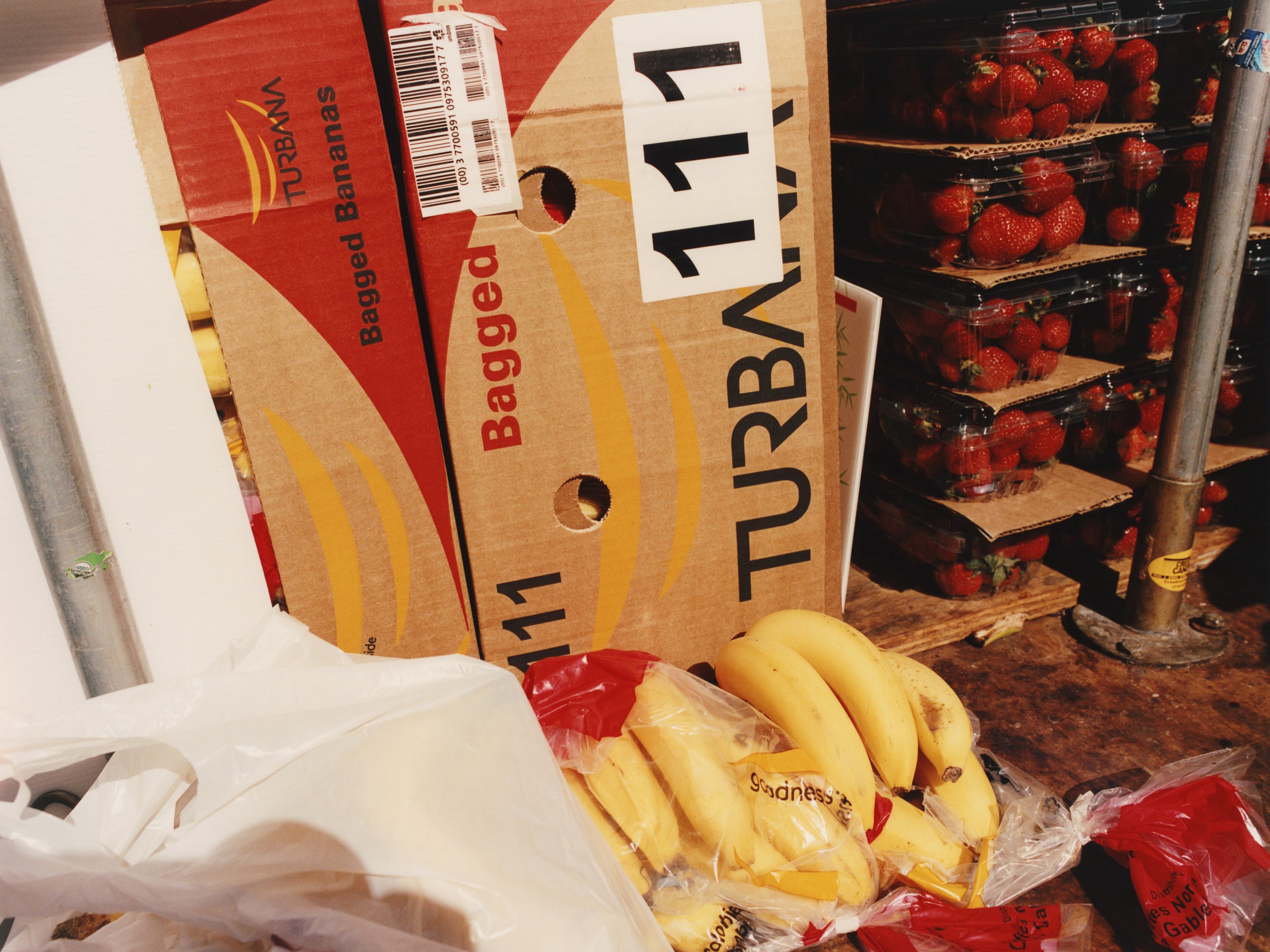 TANGUY SERGHERAERT-NYC 2025-QUADRIGA- 07.jpg