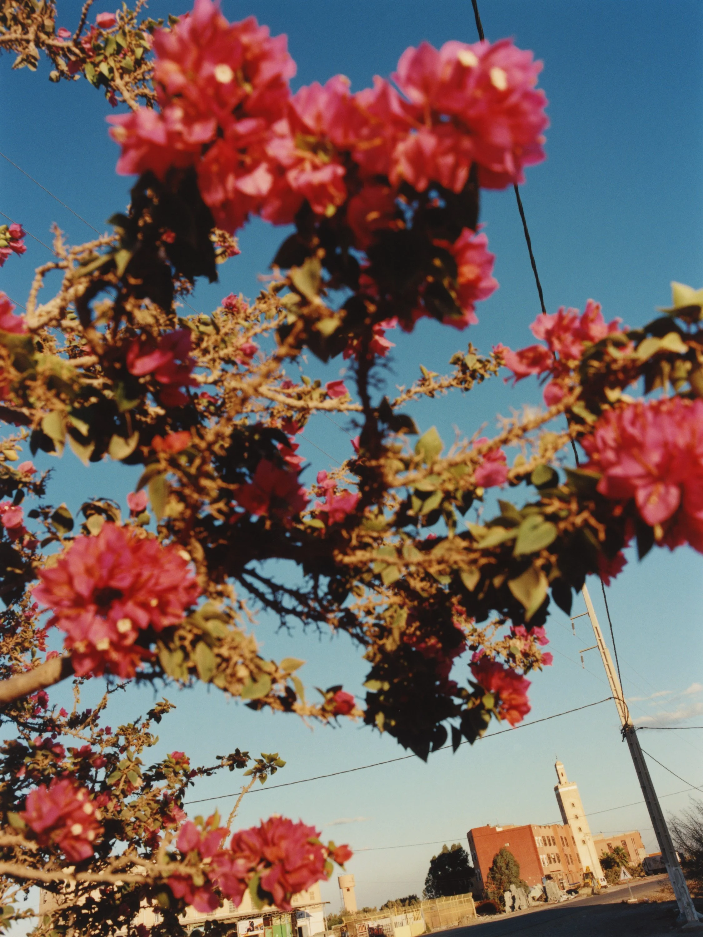 TANGUY SERGHERAERT-MOROCCO 2024-QUADRIGA- 08.jpg