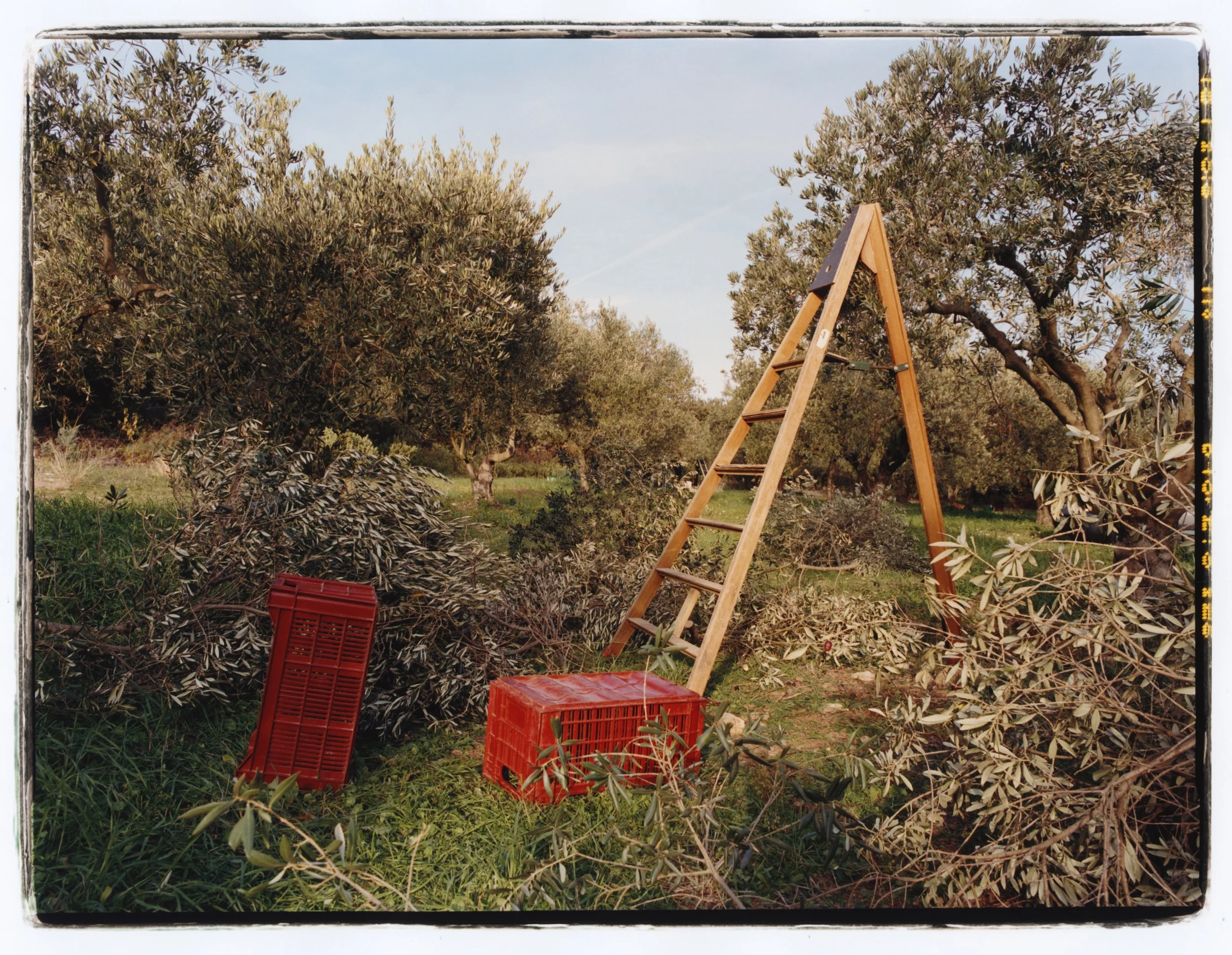 TANGUY-SERGHERAERT-2025-REGAIN MAGAZINE-13.jpg