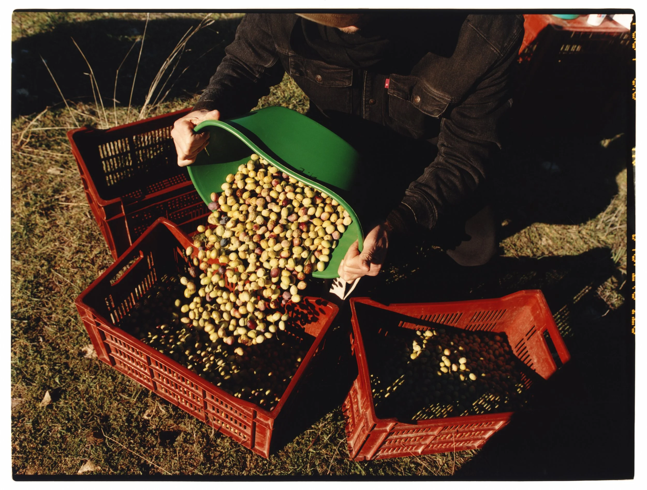 TANGUY-SERGHERAERT-2025-REGAIN MAGAZINE-06.jpg