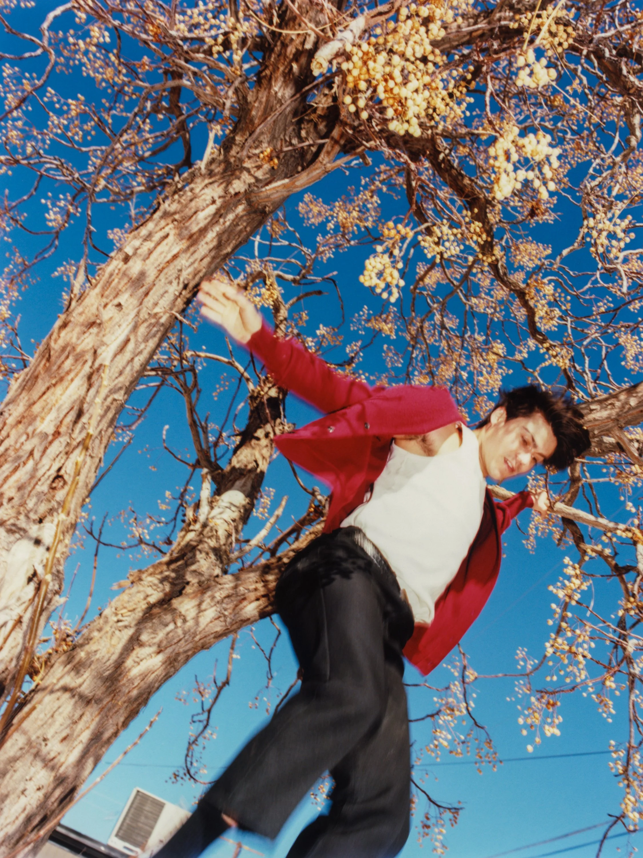 TANGUY SERGHERAERT-ANDREY-QUADRIGA- 01.jpg