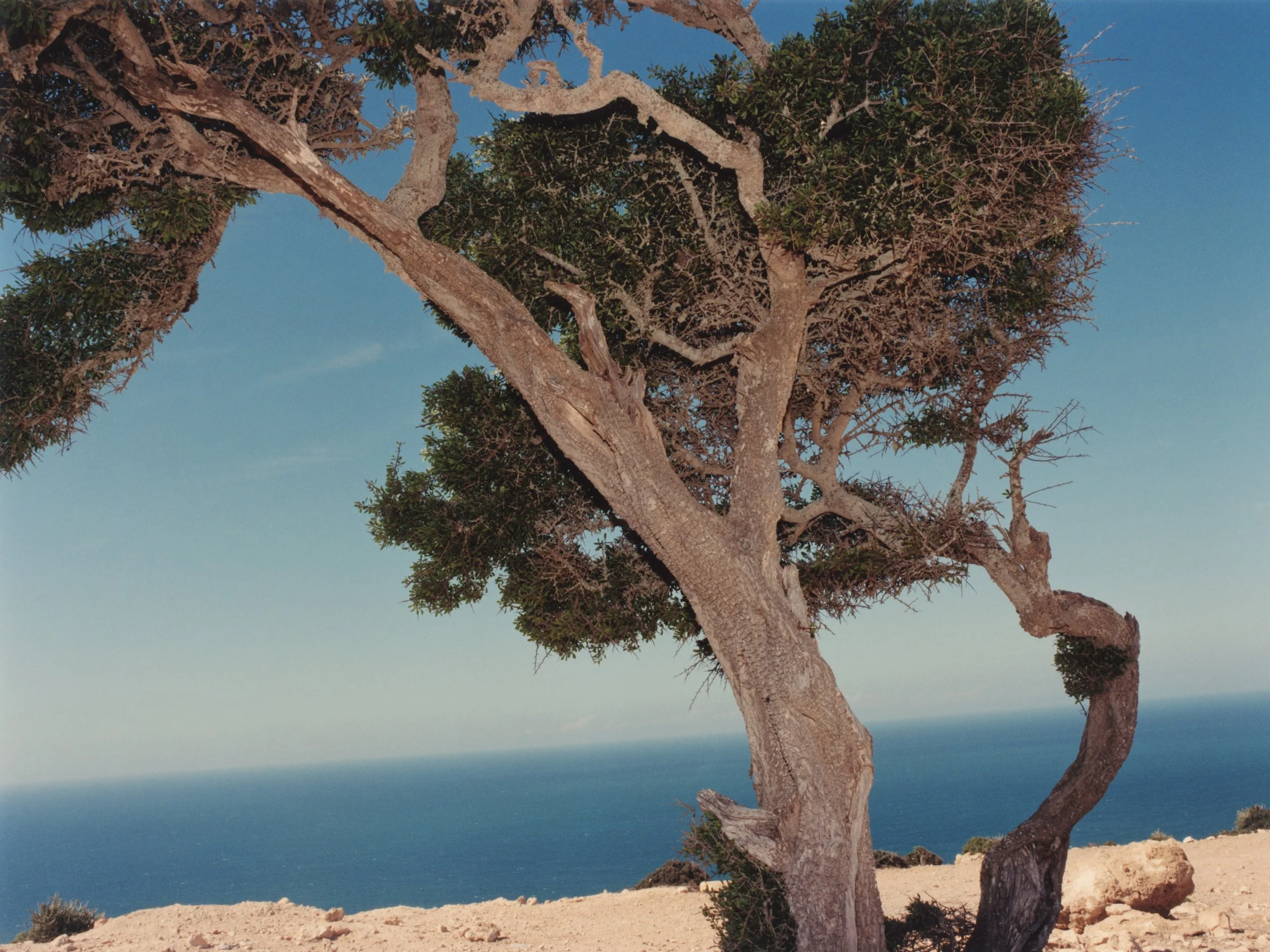 TANGUY SERGHERAERT-MOROCCO 2024-QUADRIGA- 10.jpg