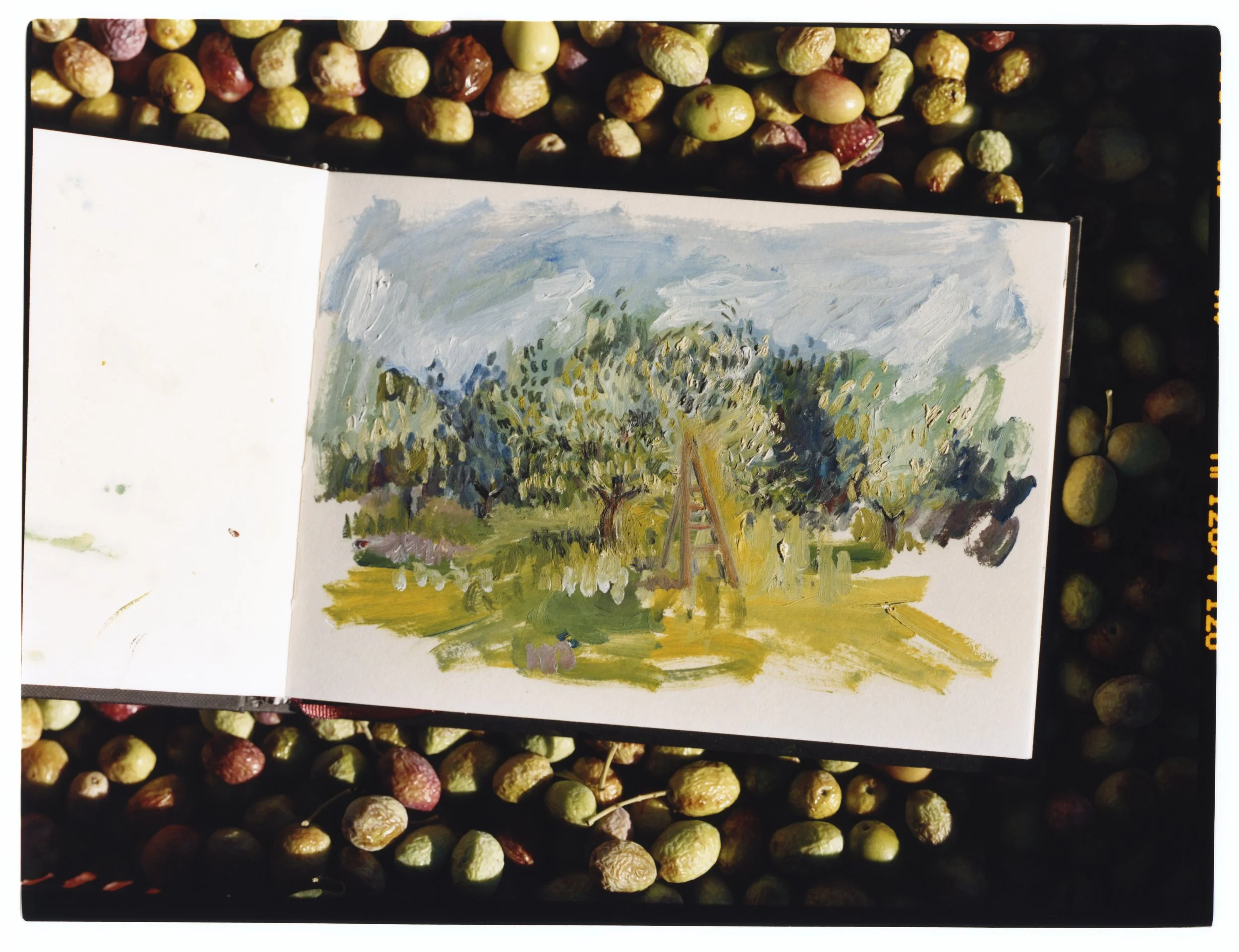 TANGUY-SERGHERAERT-2025-REGAIN MAGAZINE-08.jpg