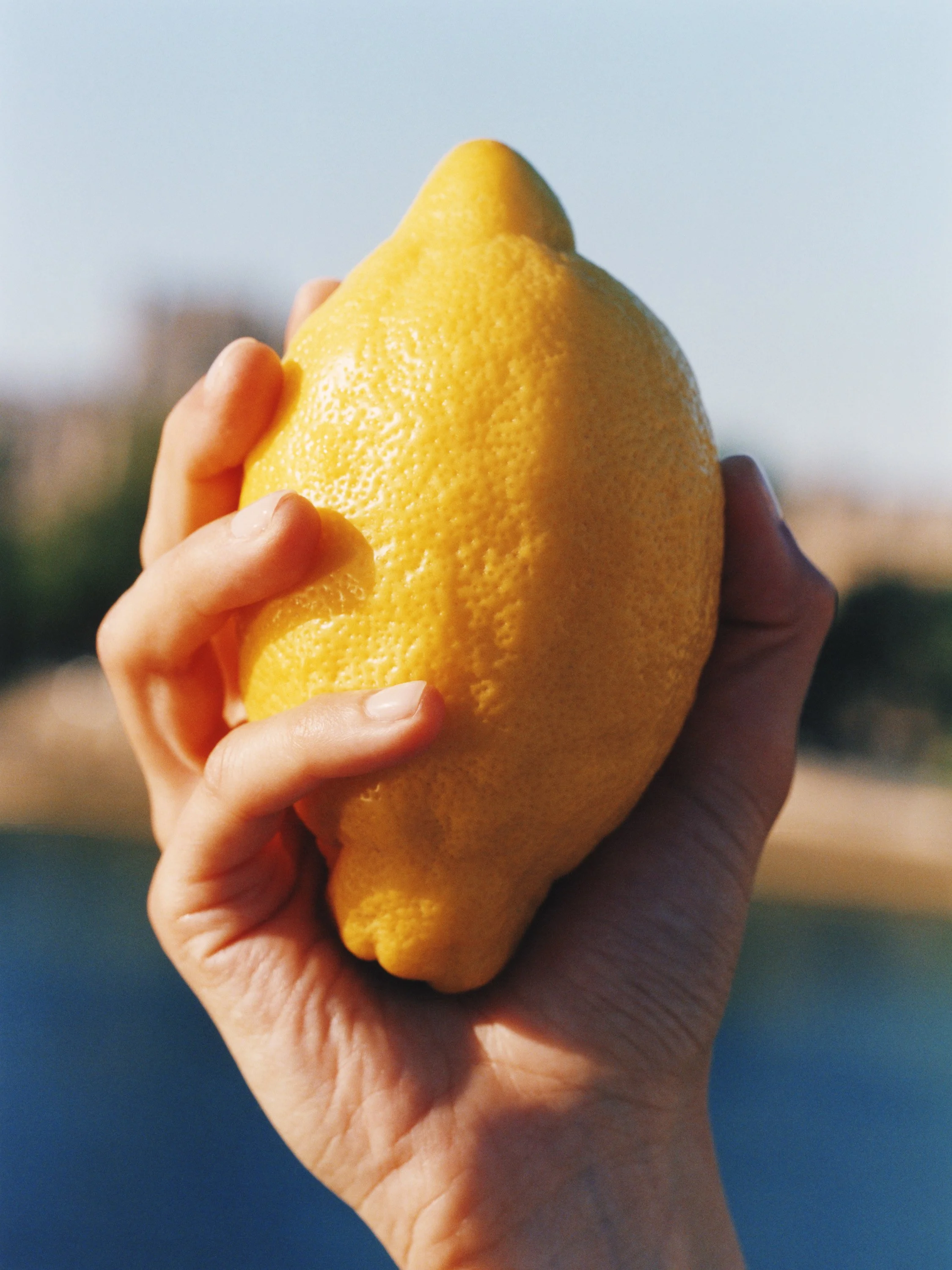 TANGUY SERGHERAERT-IESSI-QUADRIGA- 02.jpg