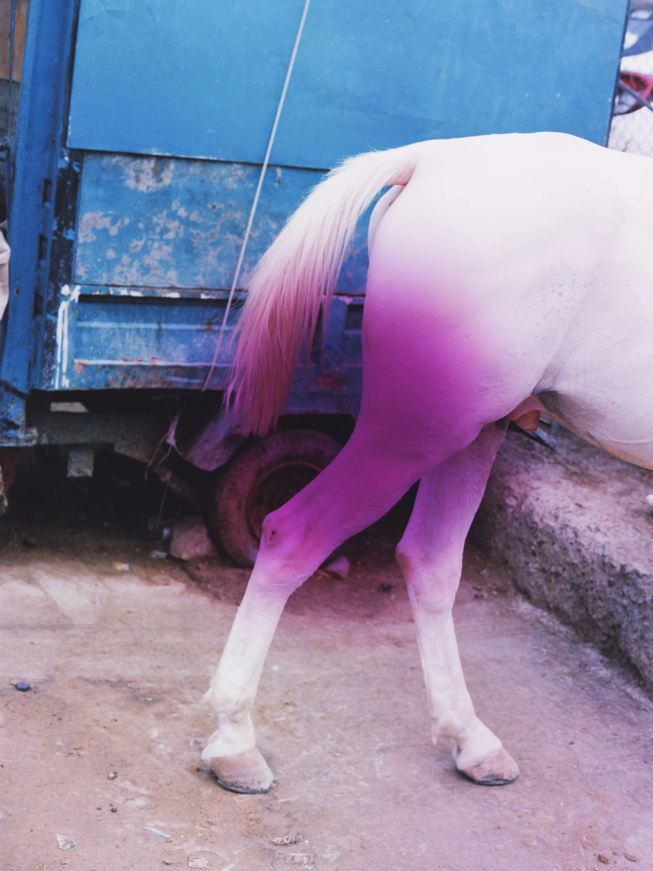 TANGUY SERGHERAERT-CLARE-QUADRIGA- 01-2.jpg