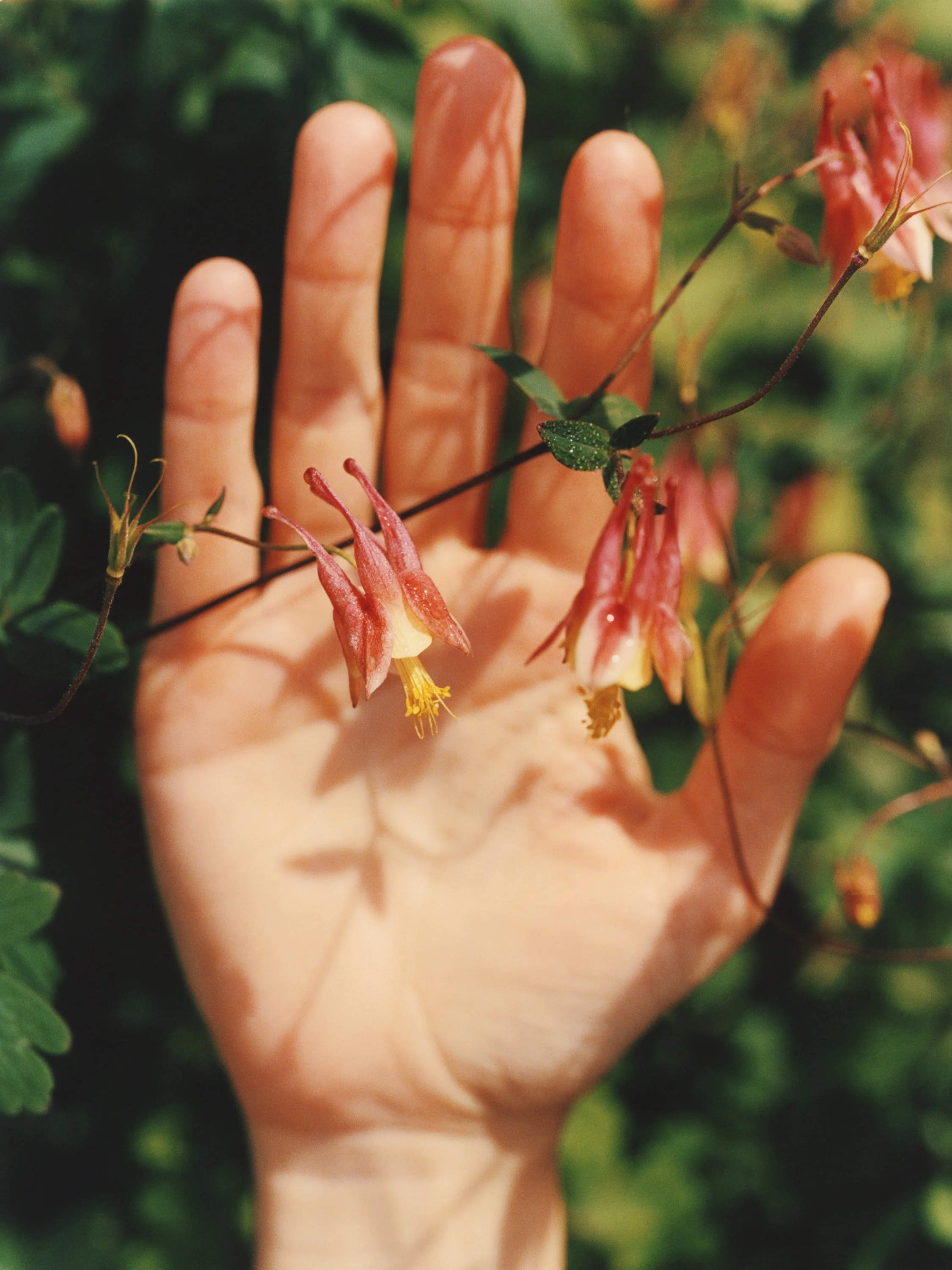 TANGUY SERGHERAERT-NYC STILL LIFE-QUADRIGA- 05.jpg