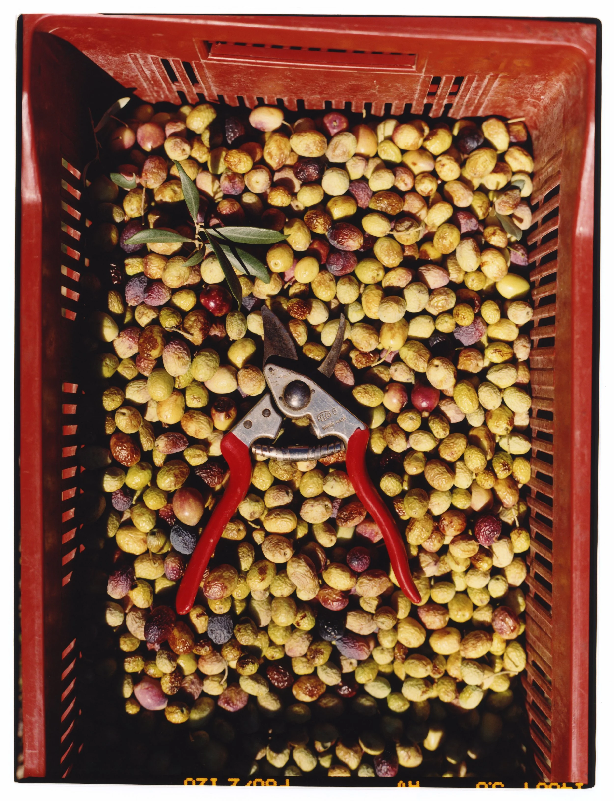 TANGUY-SERGHERAERT-2025-REGAIN MAGAZINE-01-2.jpg