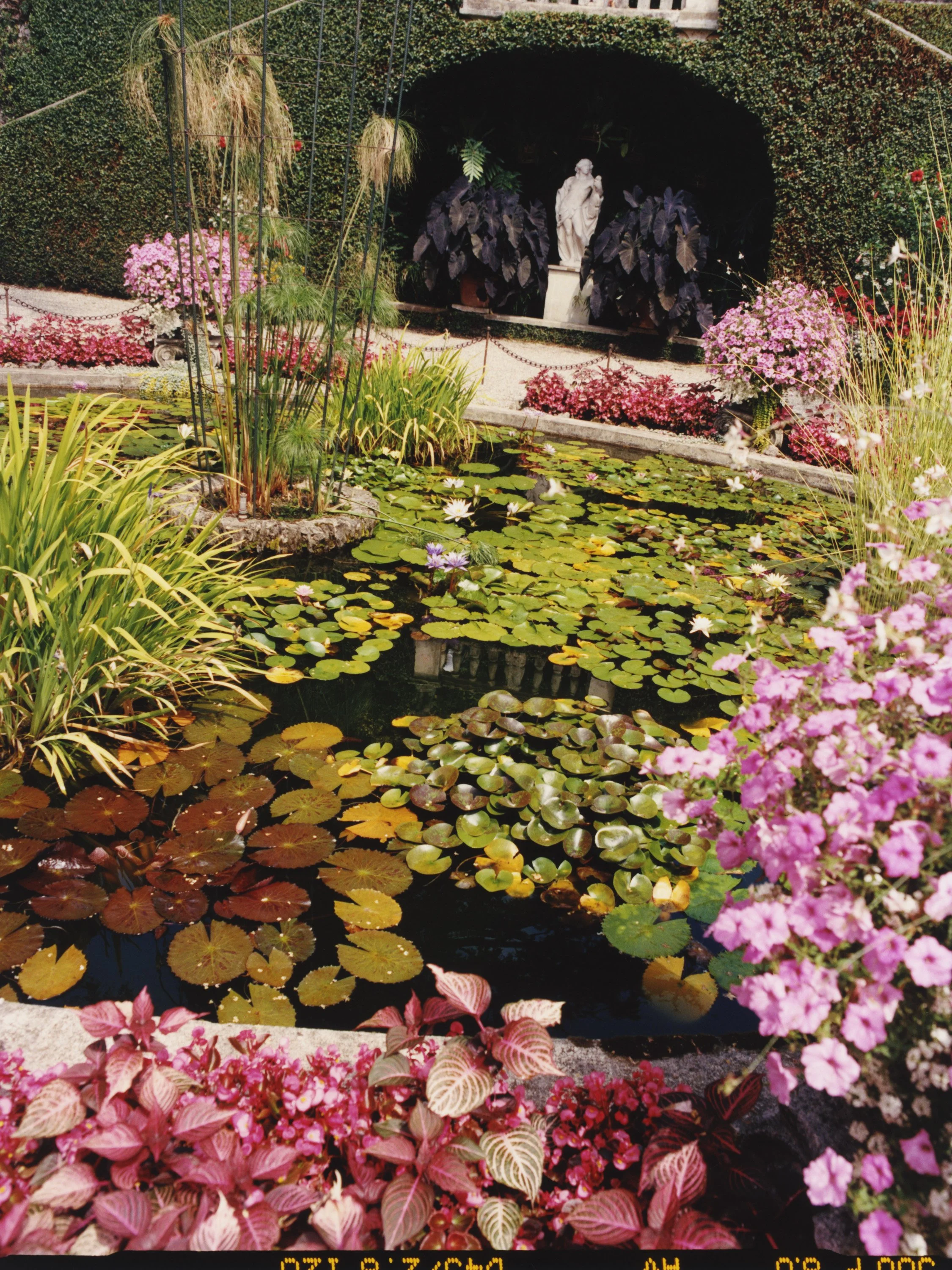 TANGUY SERGHERAERT-ITALY-SUMMER 25-QUADRIGA- 07.jpg