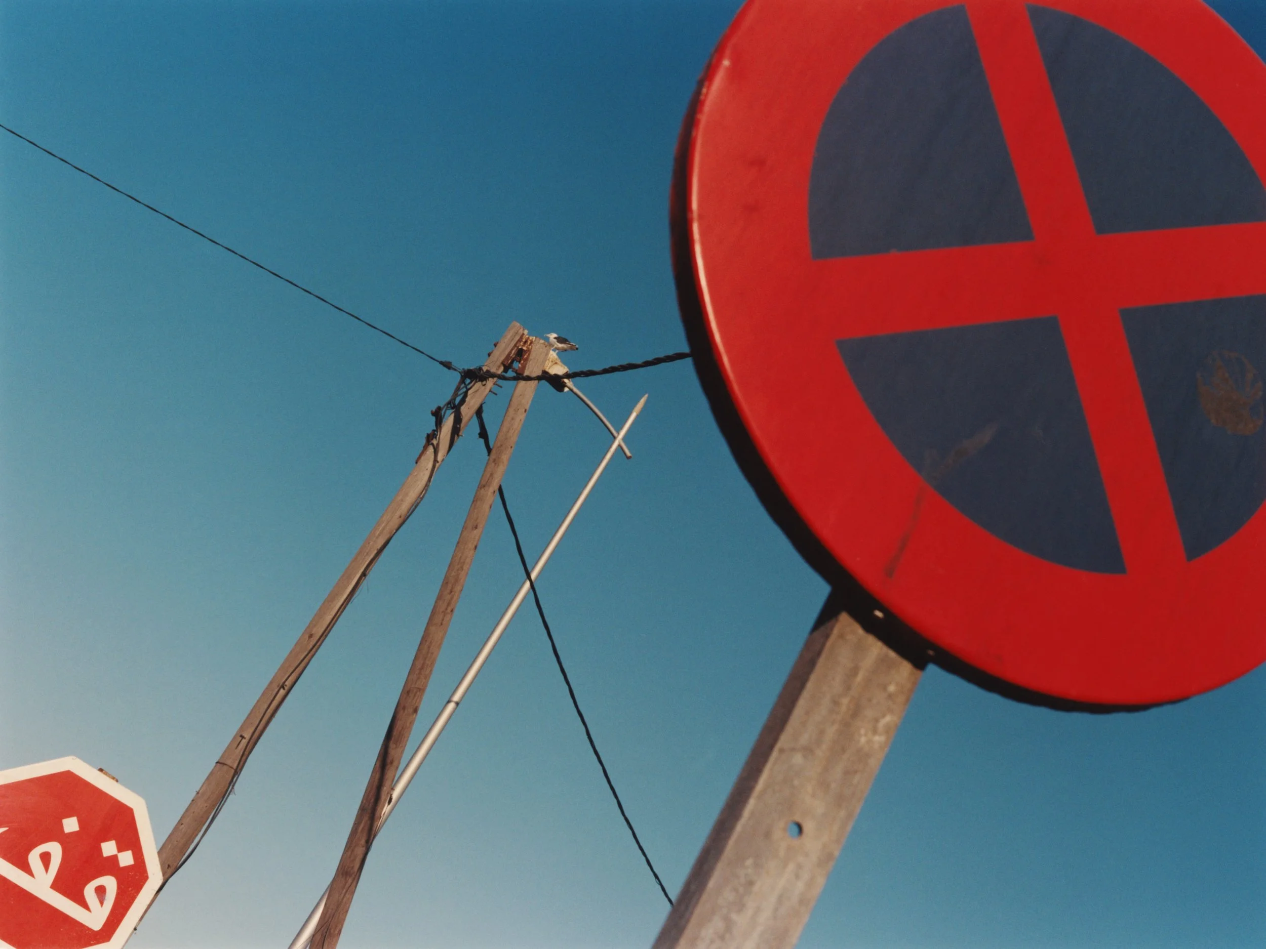 TANGUY SERGHERAERT-MOROCCO 2024-QUADRIGA- 05.jpg