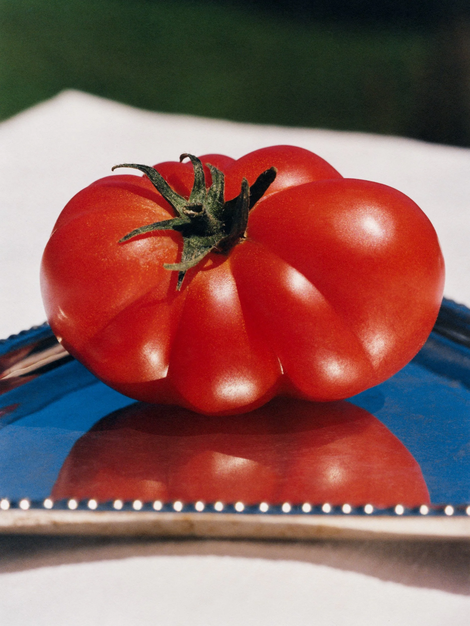 TANGUY-SERGHERAERT-REGAIN MAGAZINE-2025-01-30.jpg