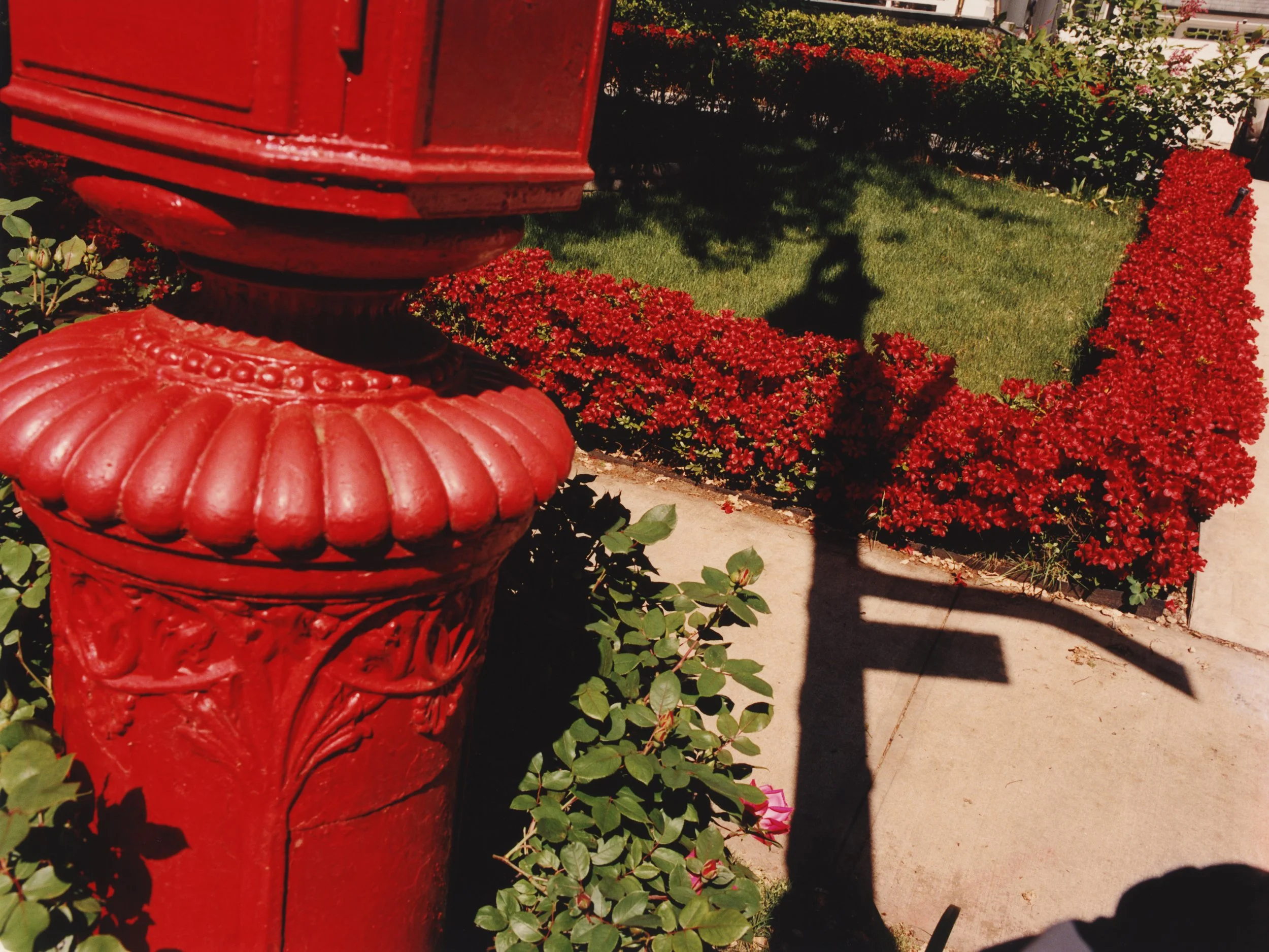 TANGUY SERGHERAERT-NYC 2025-QUADRIGA- 01-4.jpg