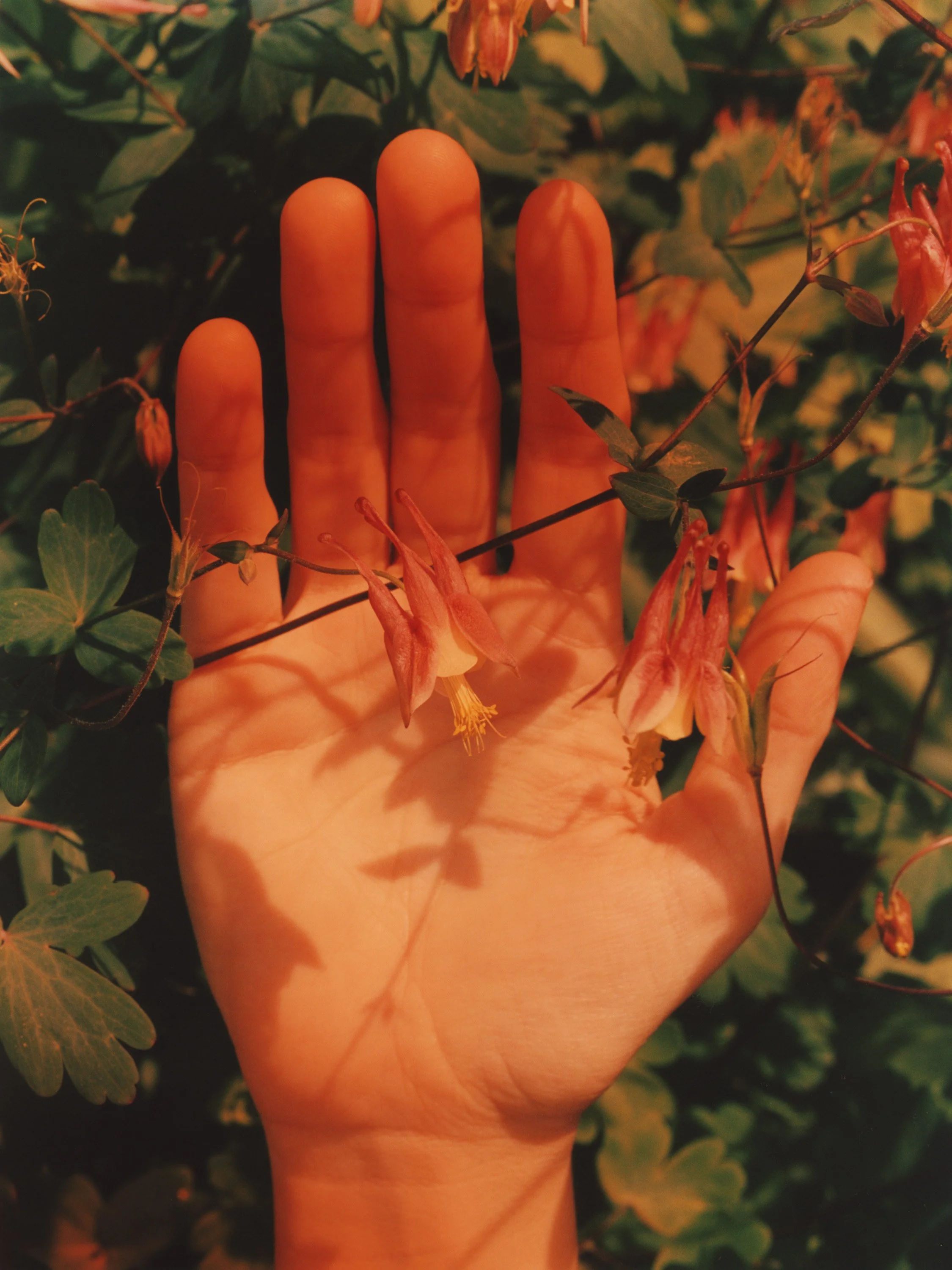 TANGUY SERGHERAERT-NYC STILL LIFE-QUADRIGA- 01.jpg