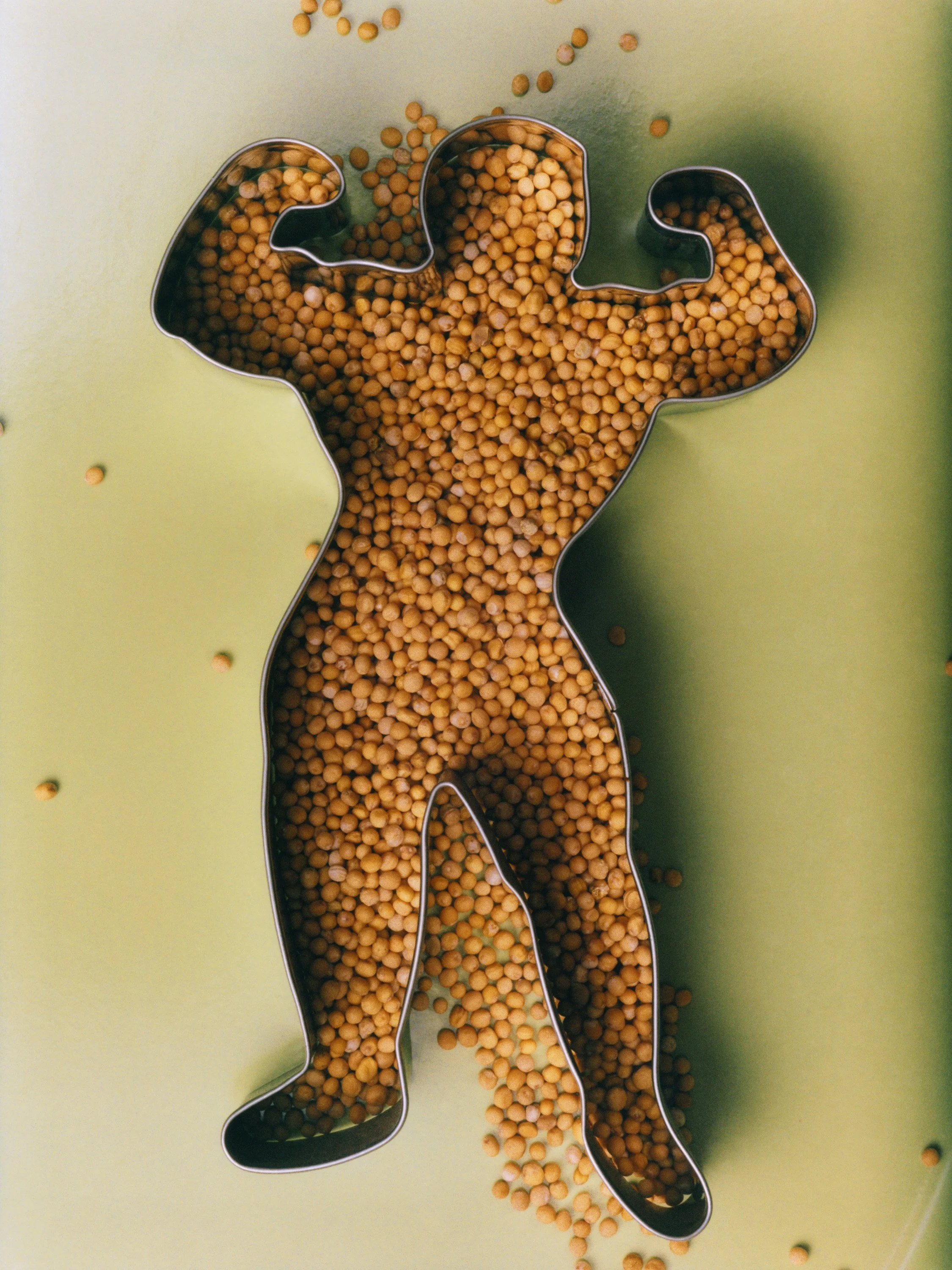 TANGUY-SERGHERAERT-2025-MLM-COVER FOOD-01-3.jpg